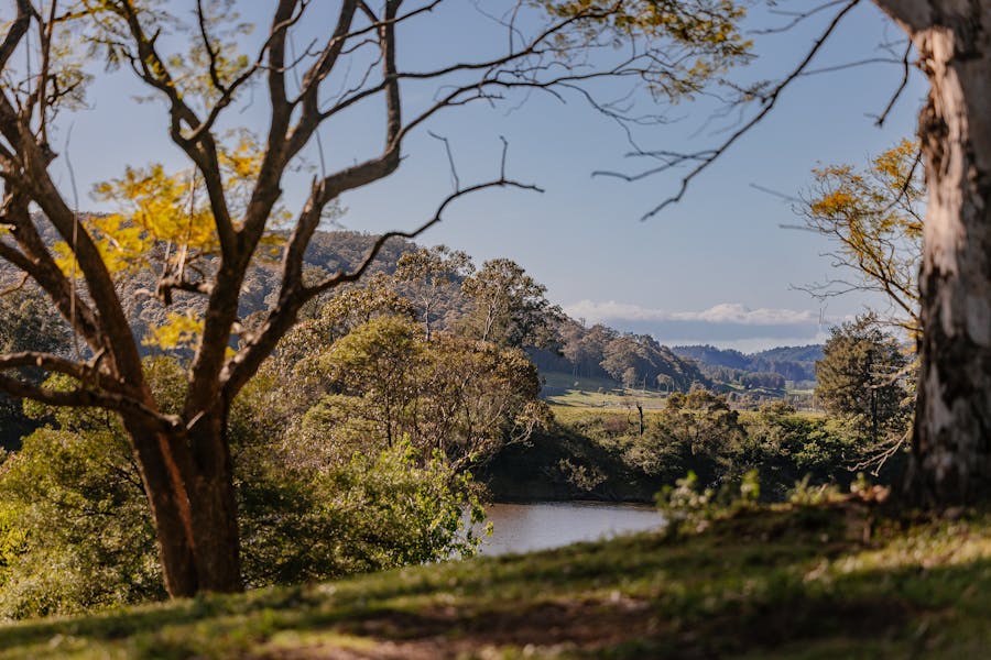 The River