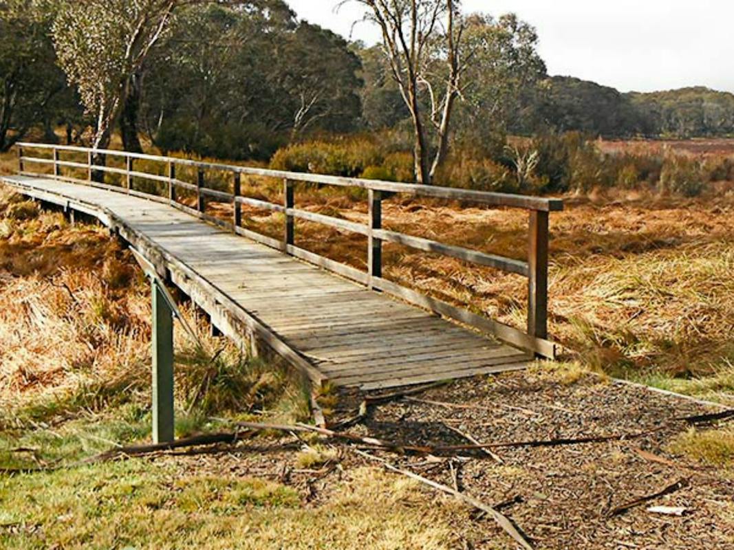 Polblue Swamp track