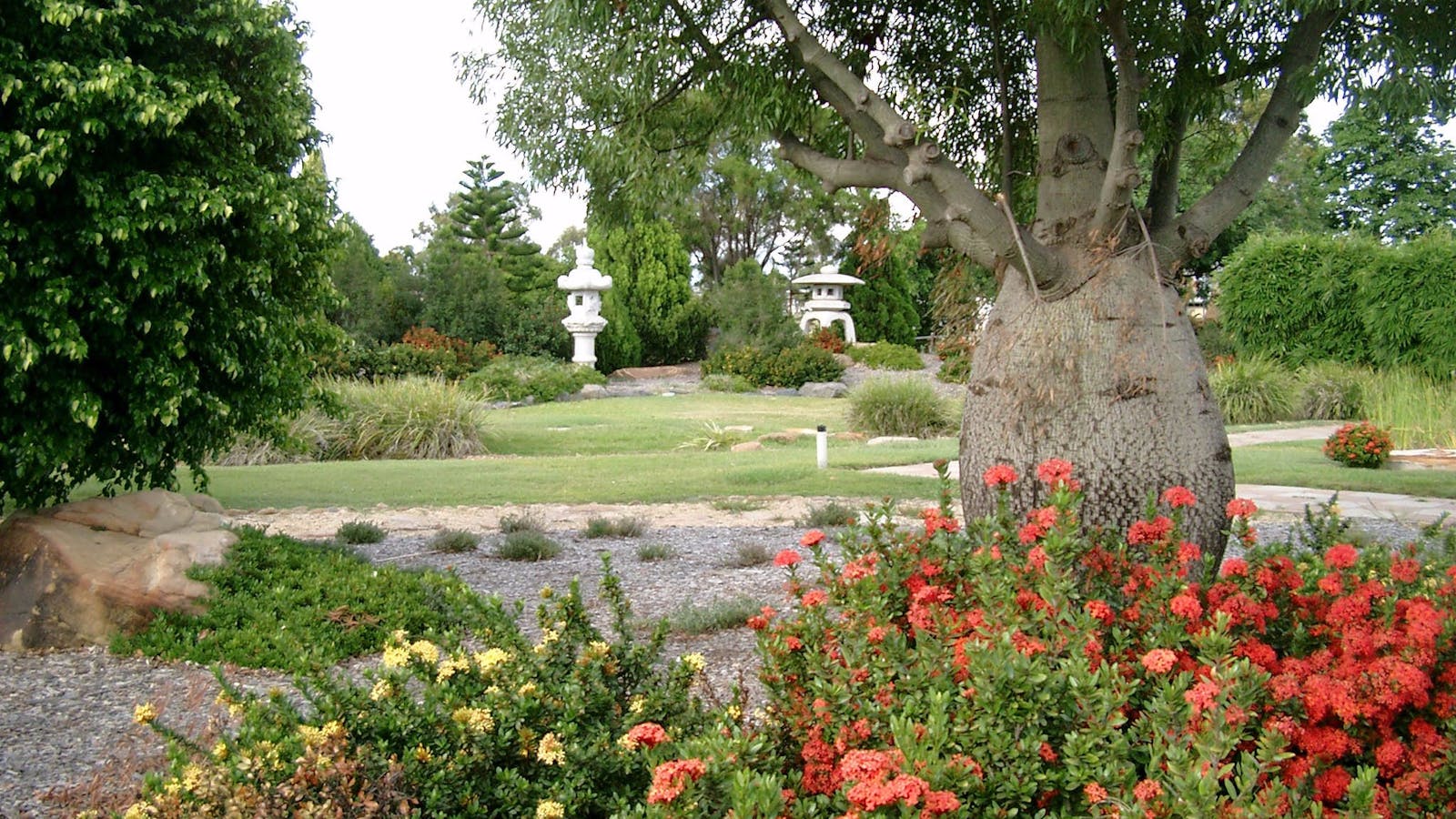 Japanese Gardens, Blackwater