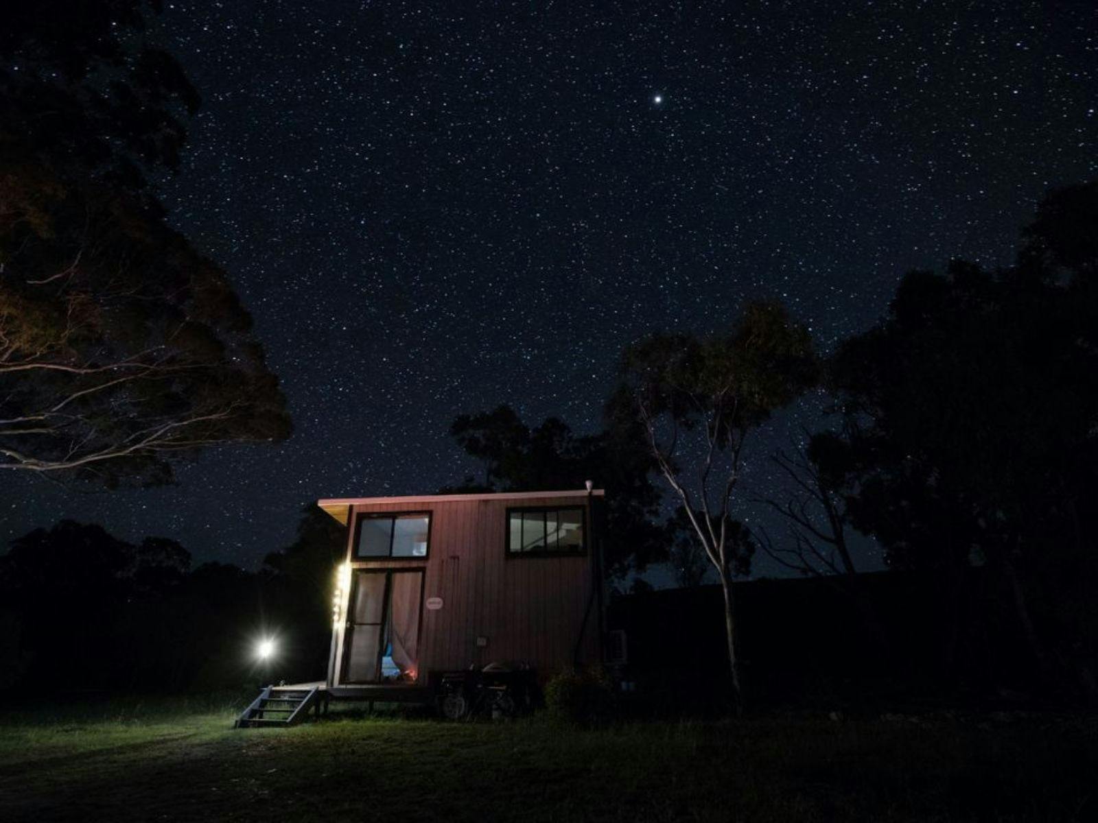 꿈의 알파카 농장 밤하늘