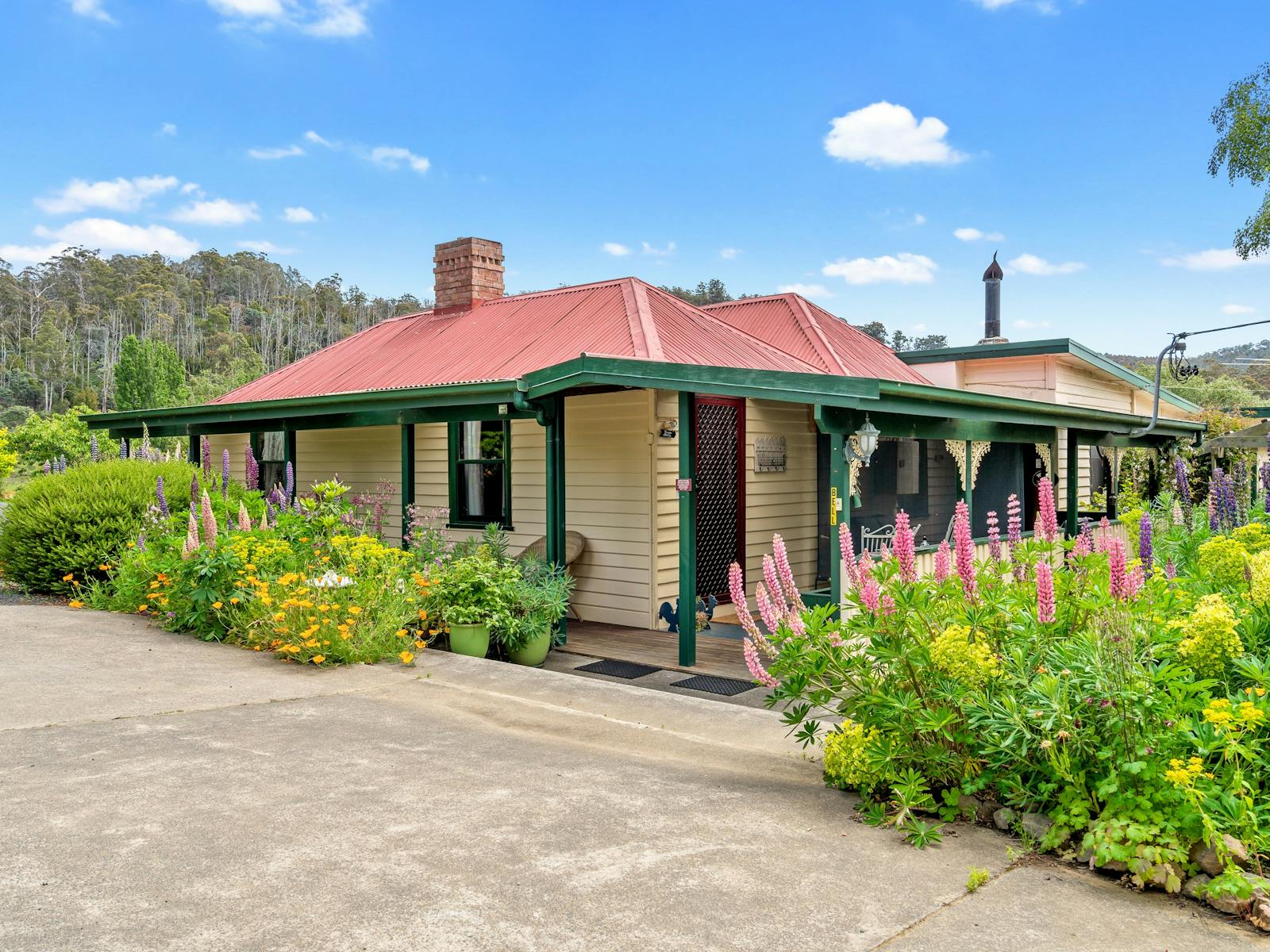 Hamlet Downs Country Accommodation