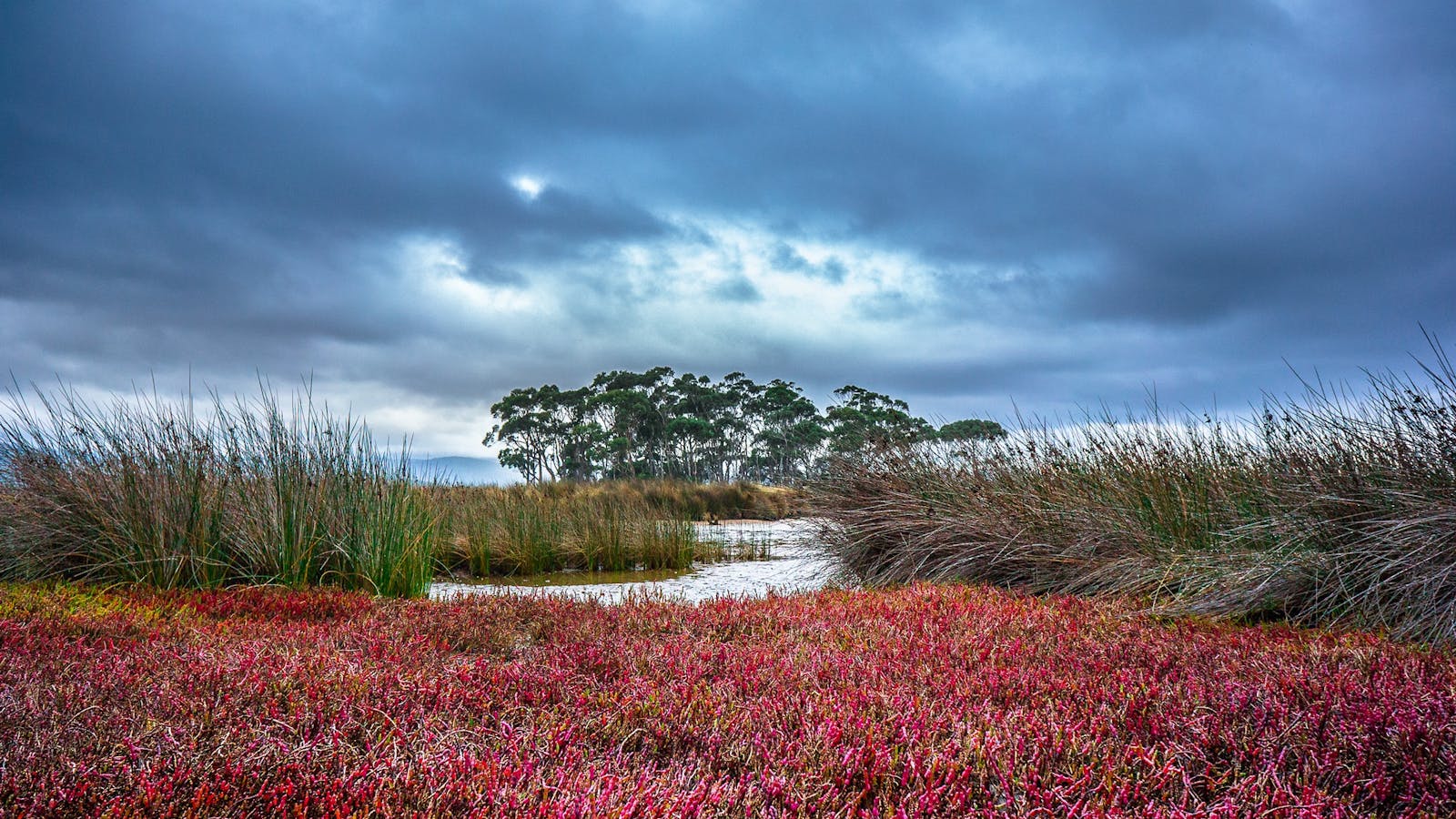 Saintys Creek Cottage: beautiful landscape looking over the Cloudy Bay Lagoon.