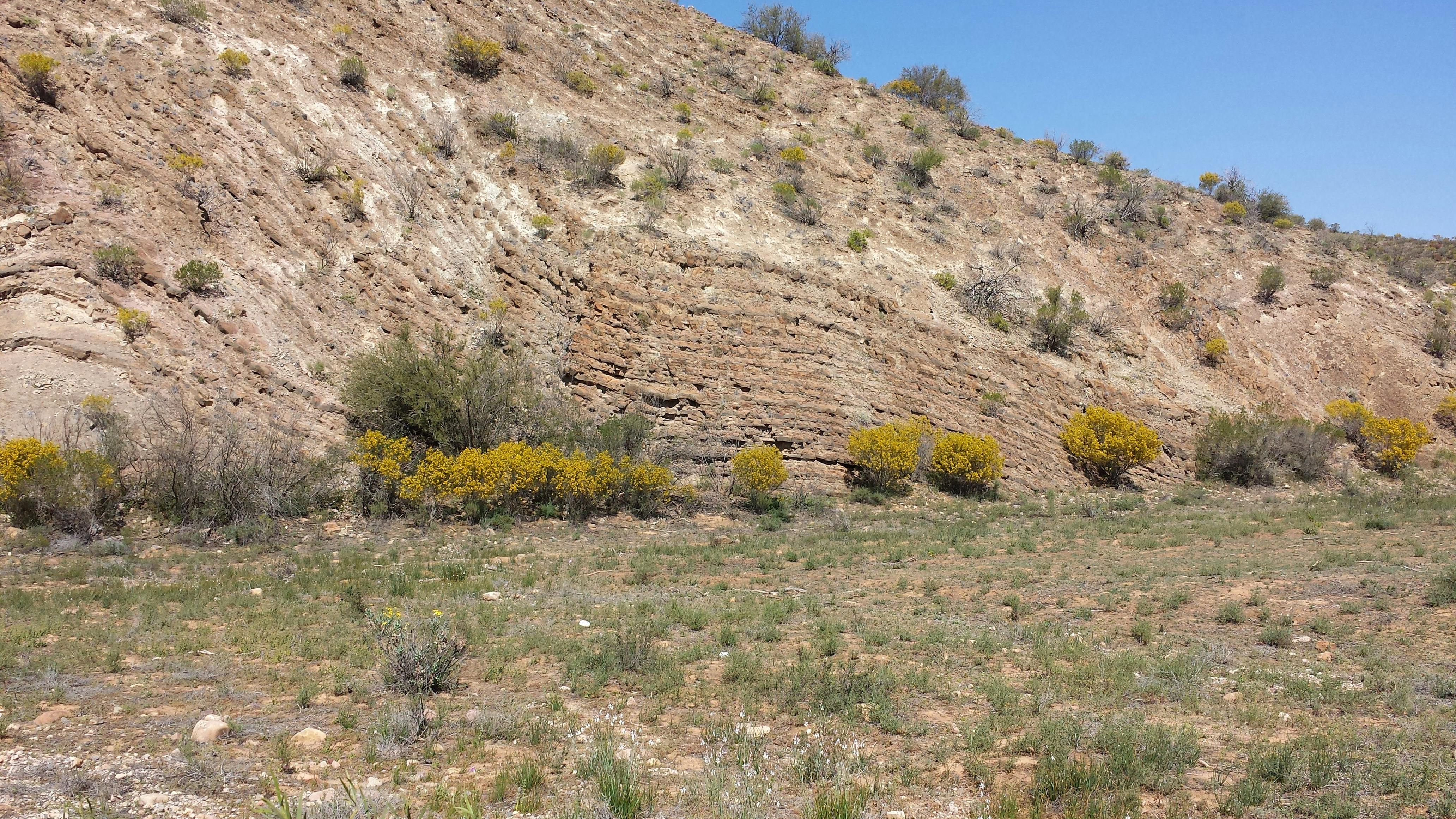 Syncline - Copley Road Gammon Ranges