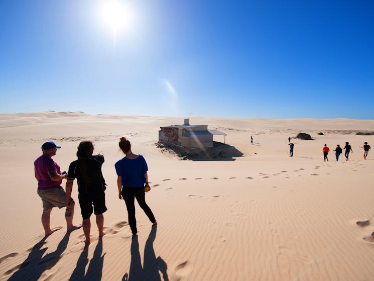 Tin City Tours Stockton Sand Dunes