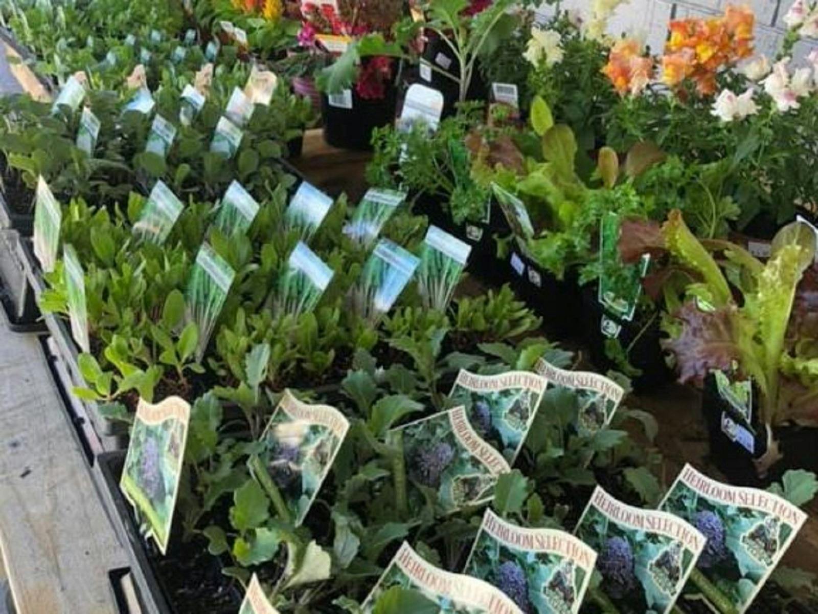 Lobethal Fodder Store