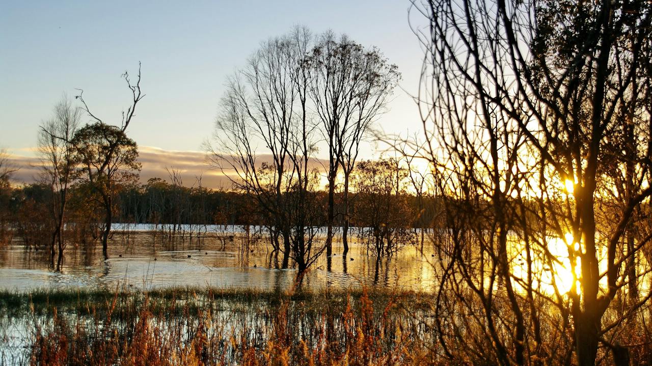 Wooroolin Wetland