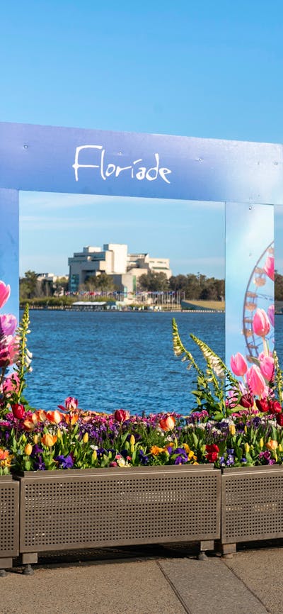 Floriade flower boxes with photo frame