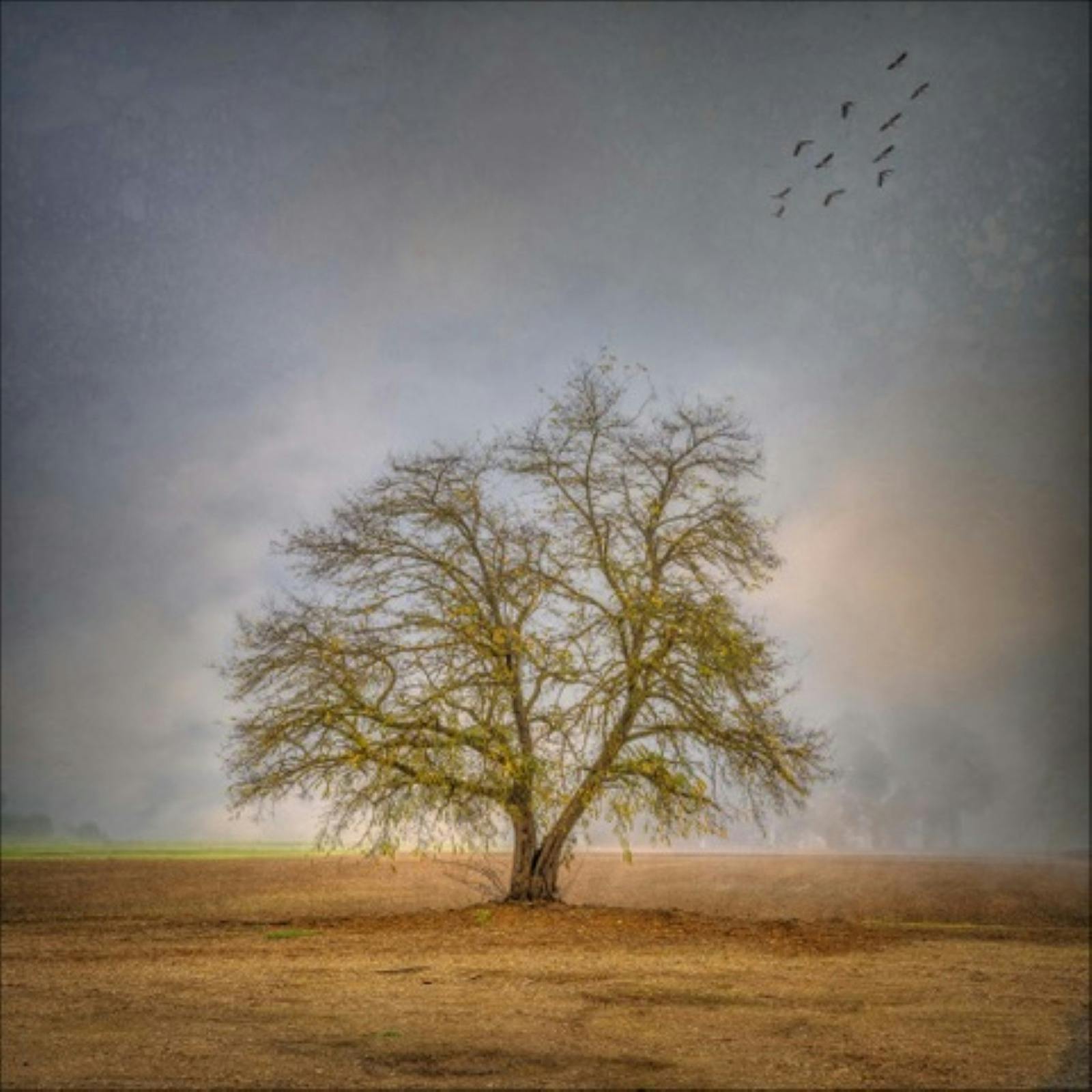 Vicki Moritz Artwork