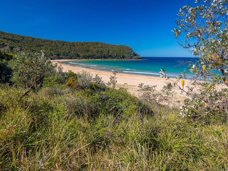 North Durras Beach