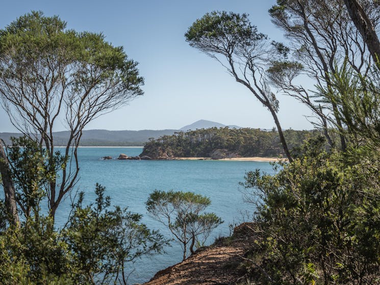 Twofold Bay, Eden