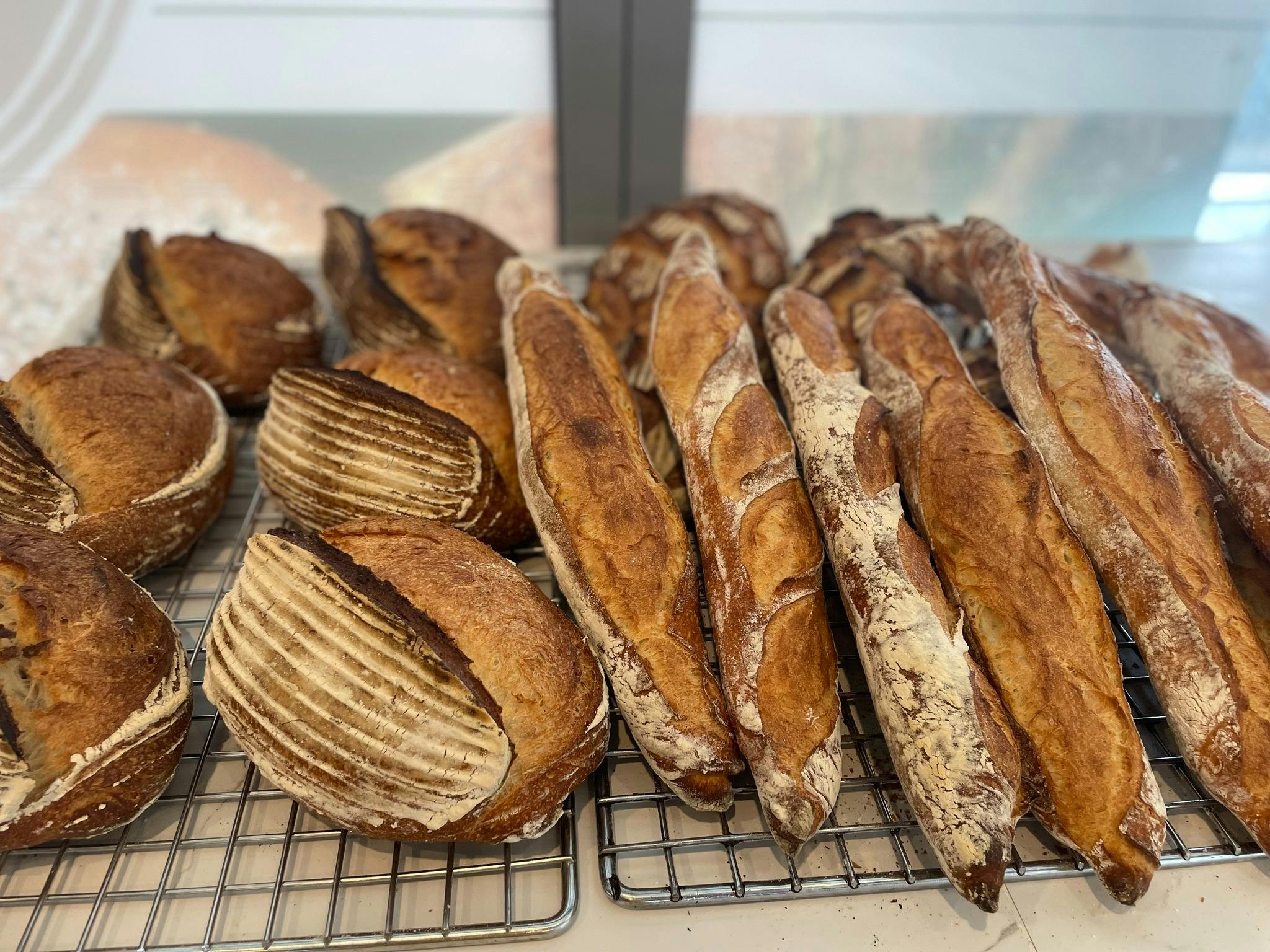 Bread