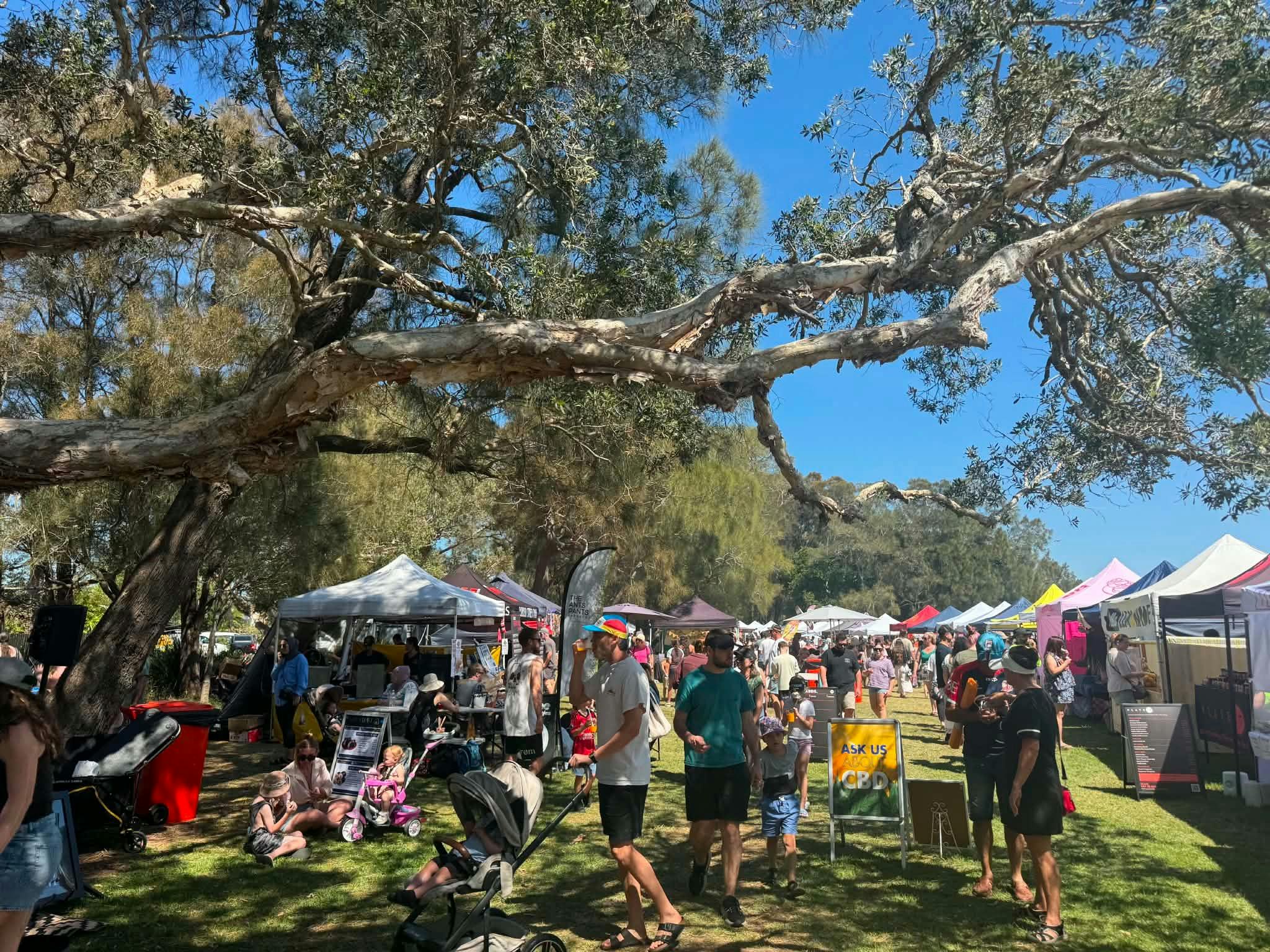 Shoppers browsing colourful outdoor market stalls and gazebos on a grassy area.