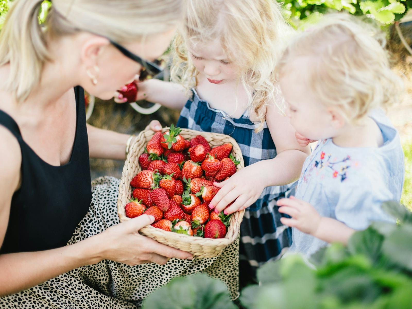 Mom and two children with a basket of strawberries