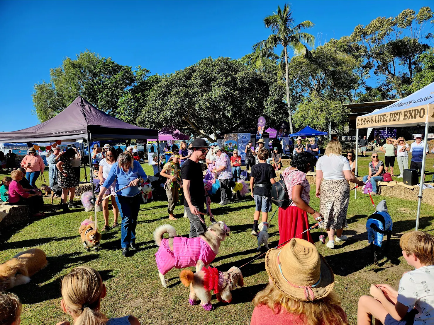 A Dog's Life Pet Expo Noosa