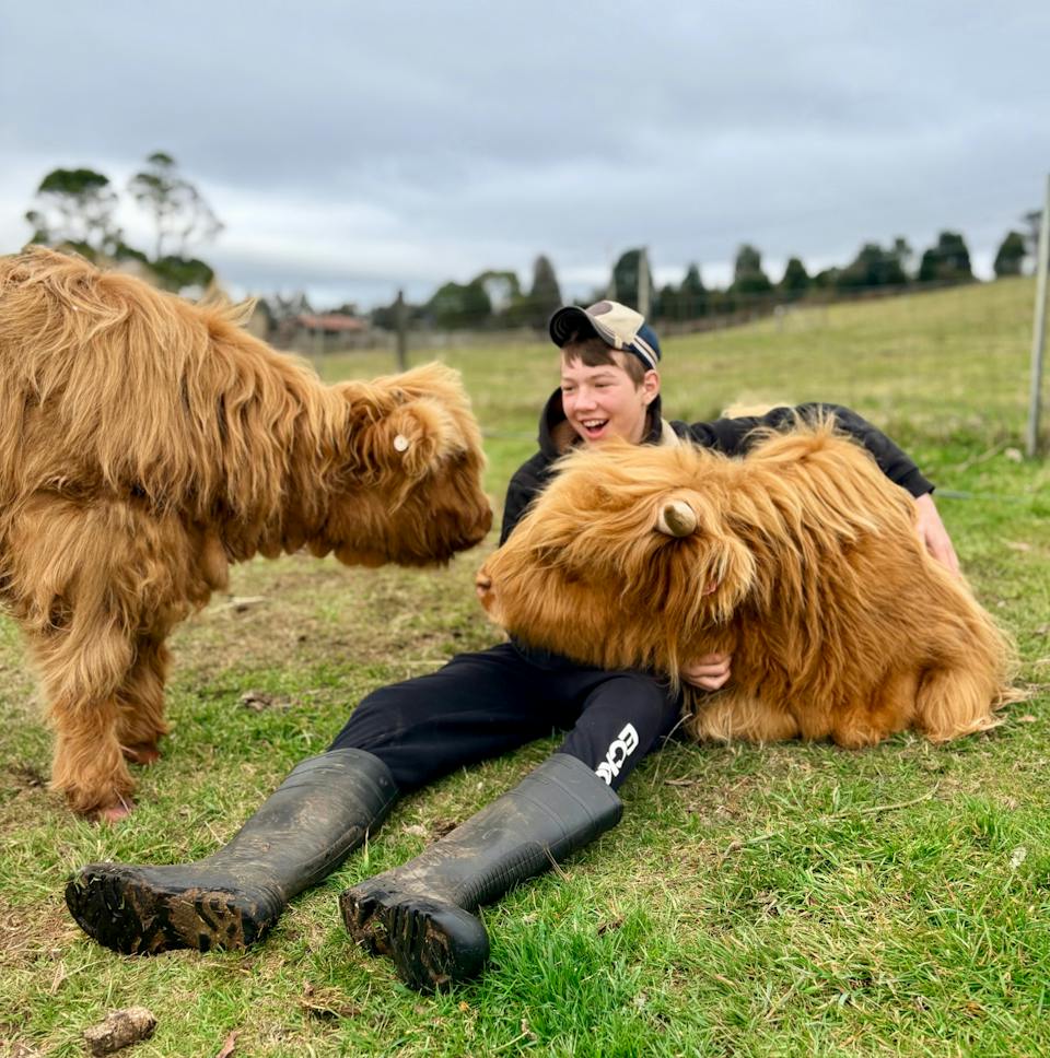 Cradle Mountain Highlands (Highland Cow Experiences) photo