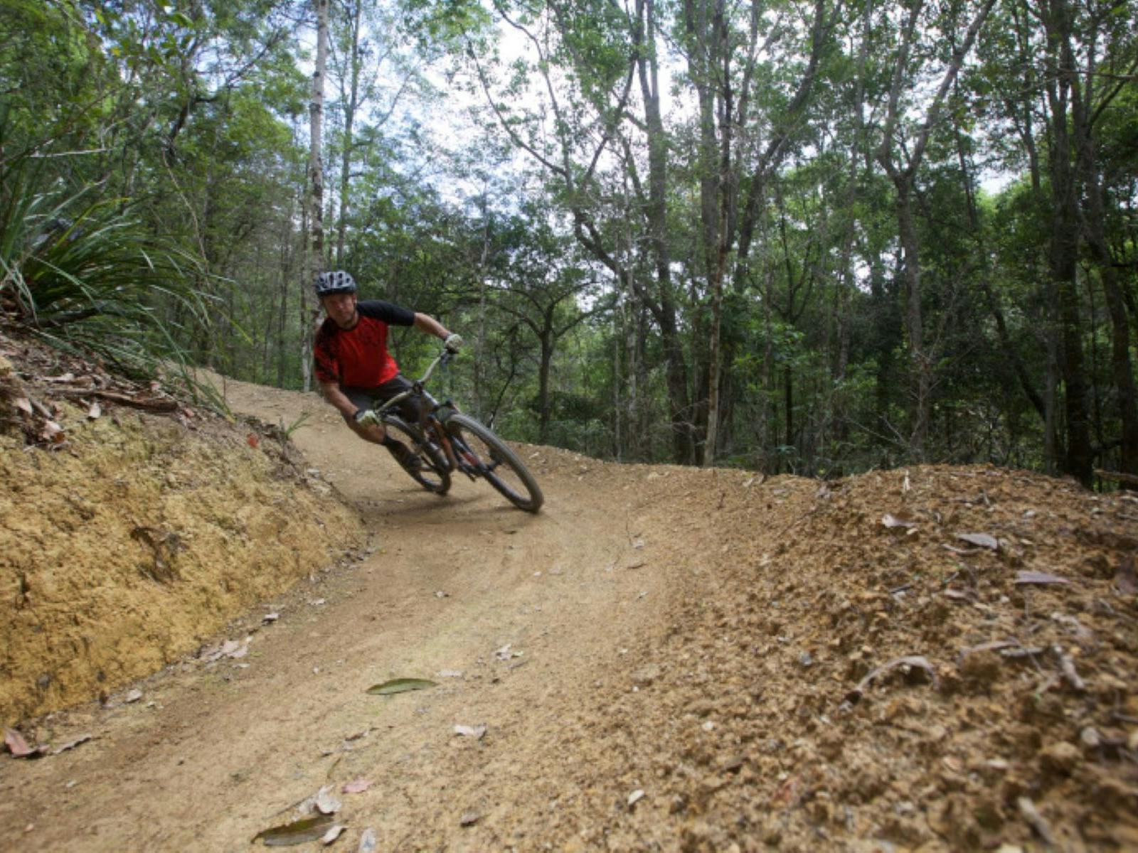 Man riding mountain bike track
