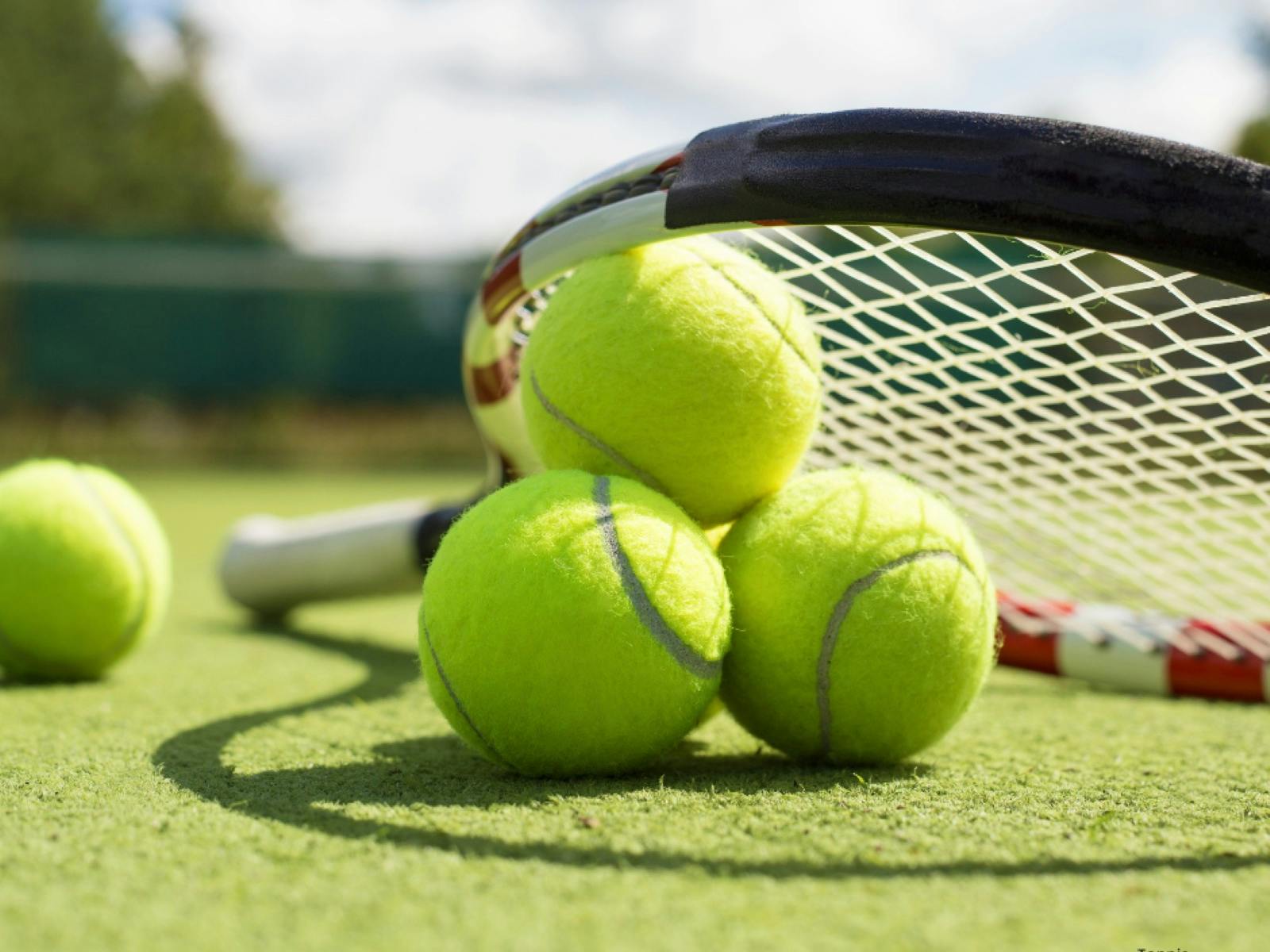 Tennis Balls & Racquet