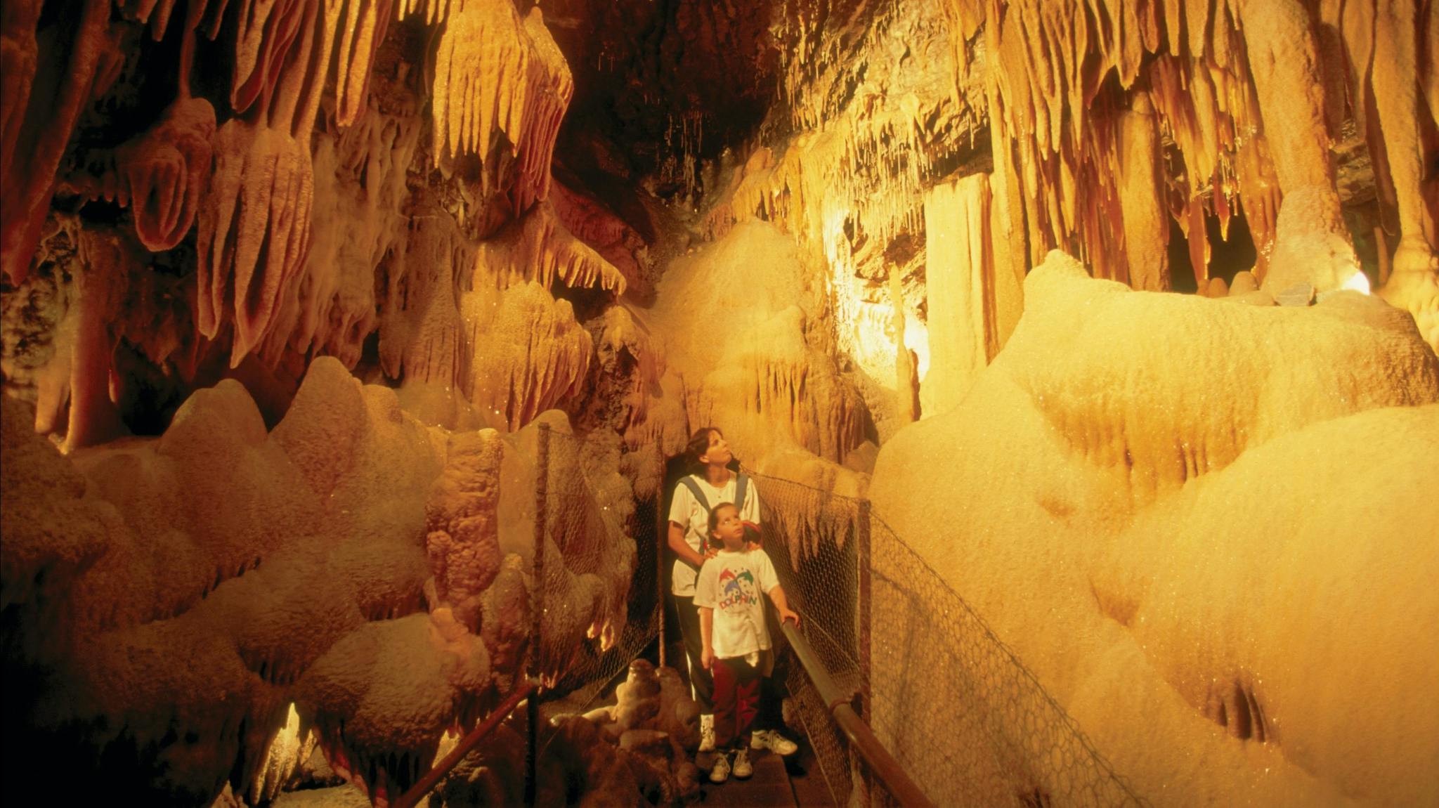 Buchan Caves Reserve