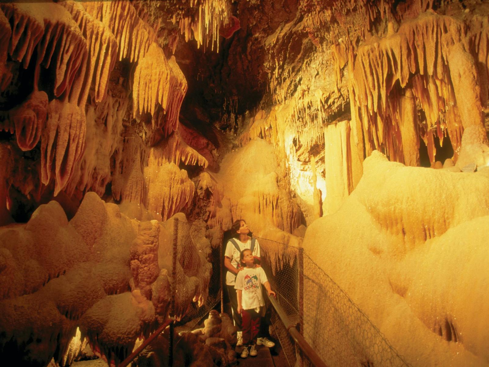 Buchan Caves Reserve