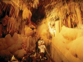 Buchan Caves Reserve