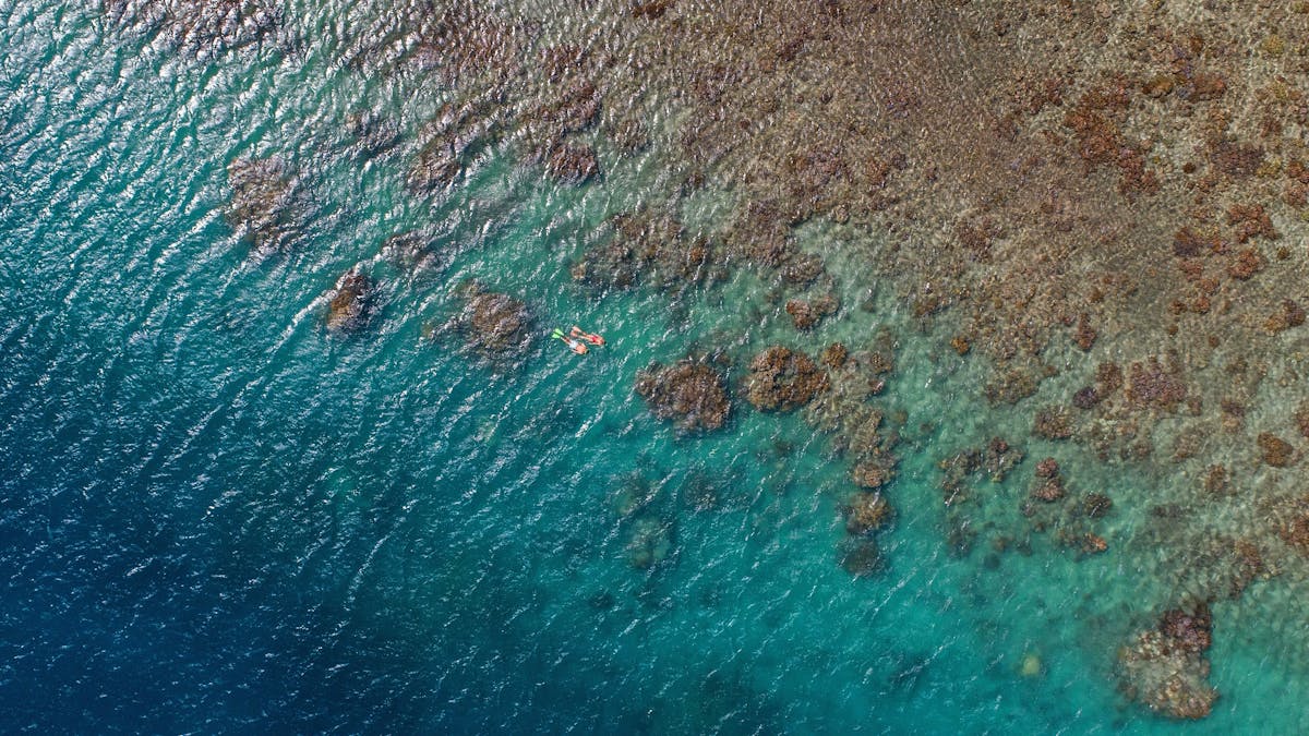 Aerial photo of two people snorkelling in Blue Peal Bay with lots of coral visible under the water