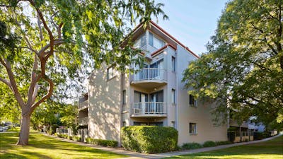Hotel exterior surrounded by big leafy trees