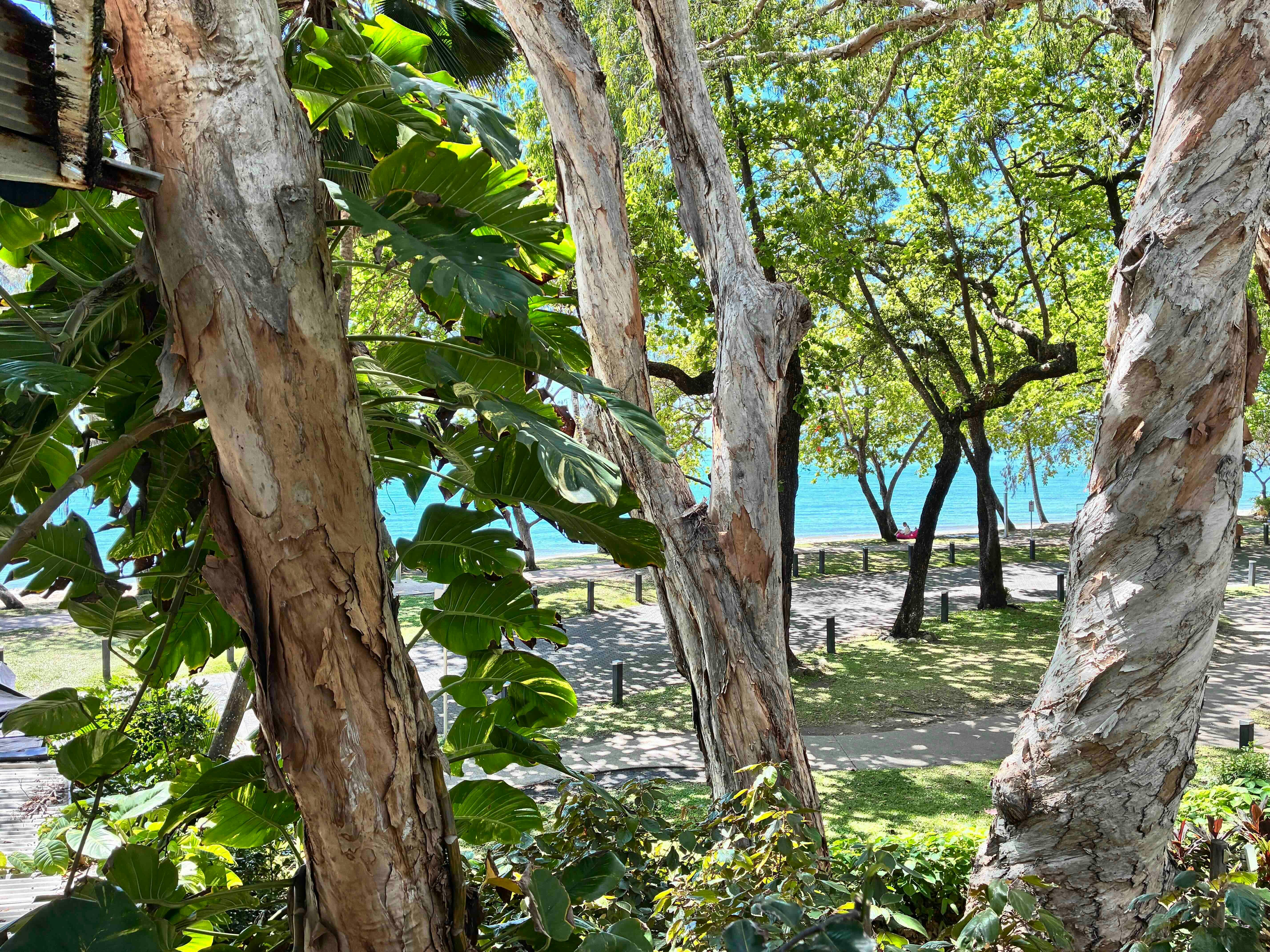 Balcony Little Green Bicycle Art Studio & Shop Palm Cove