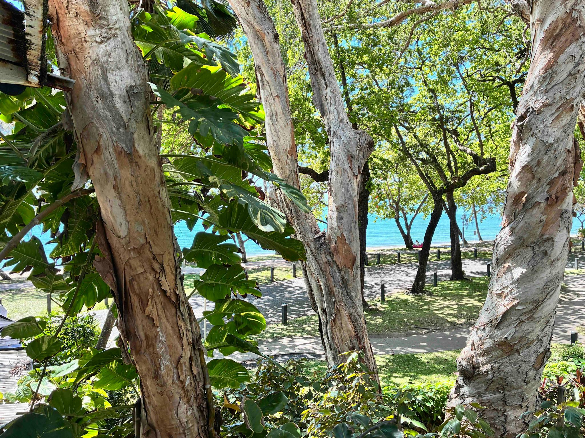 Balcony Little Green Bicycle Art Studio & Shop Palm Cove