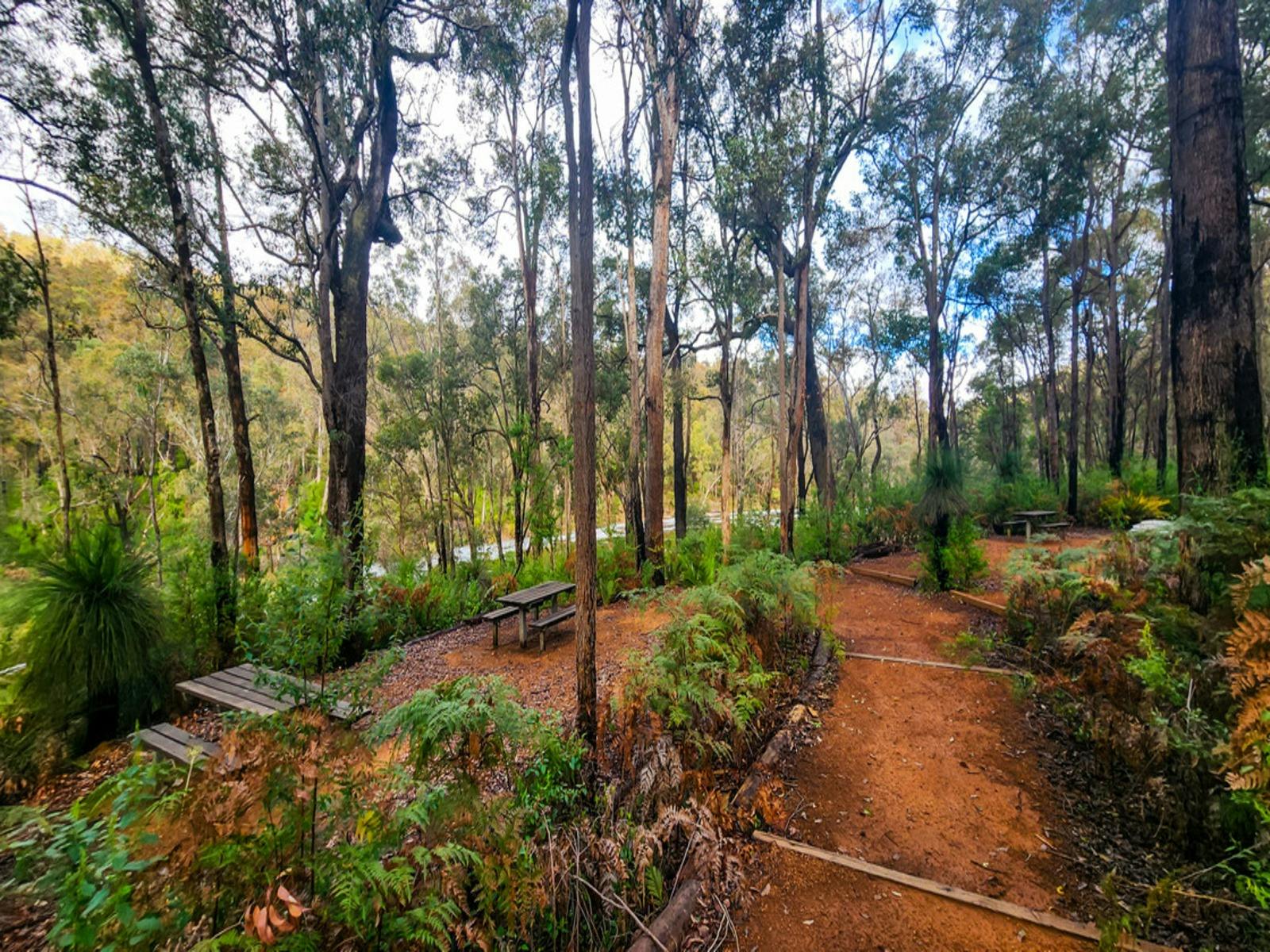 Island Pool, Lane Poole Reserve