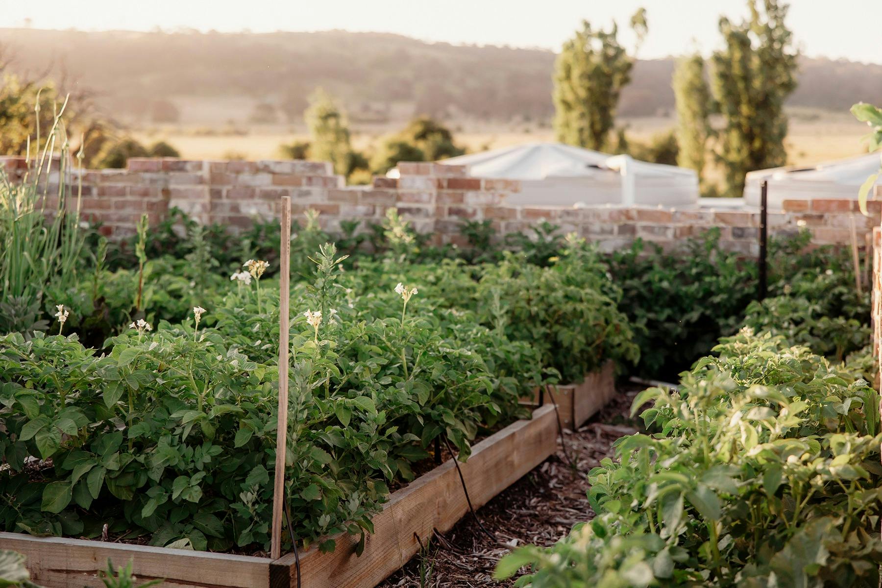 Collector Cottage Cutting Garden