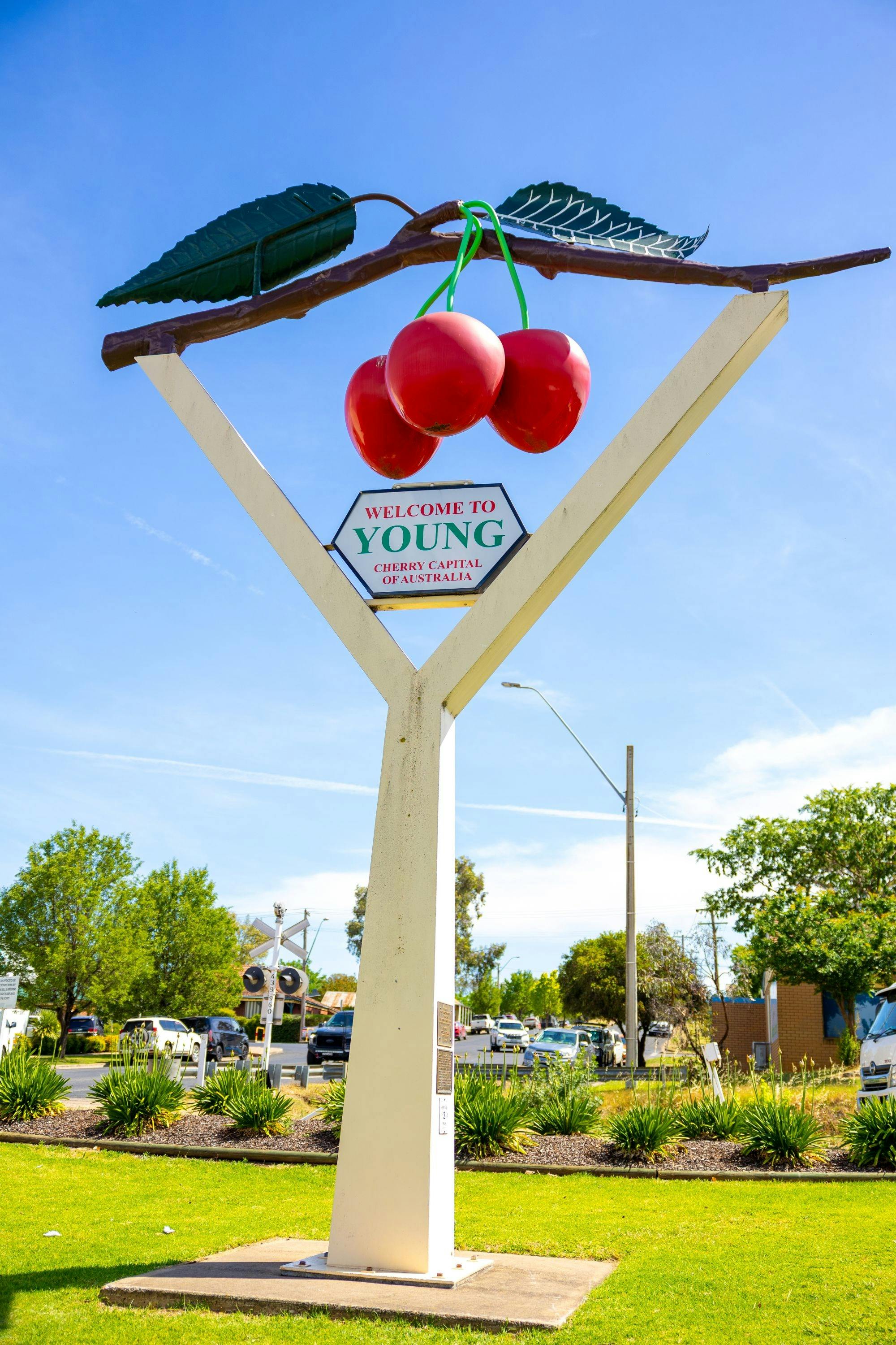 Large Y with cherries located at Anderson Park, Young