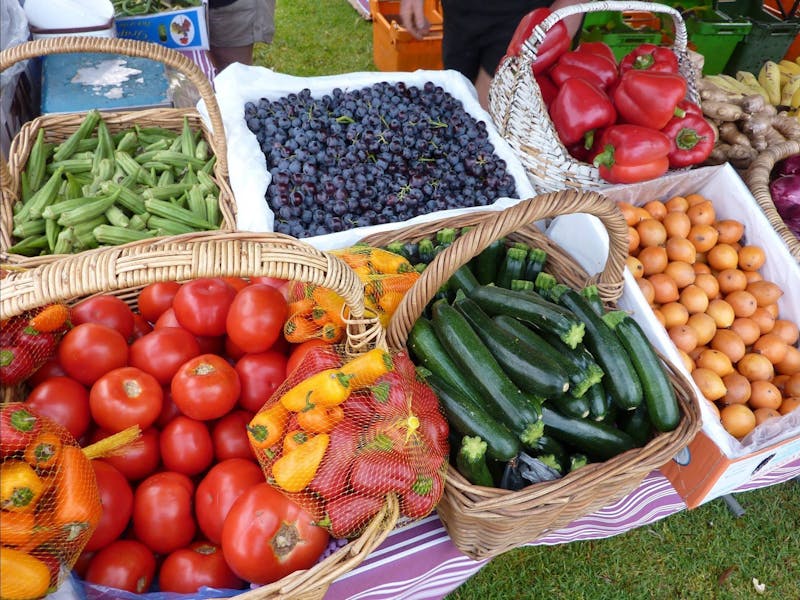 ARMIDALE FARMERS MARKET @ Curtis Park, Armidale