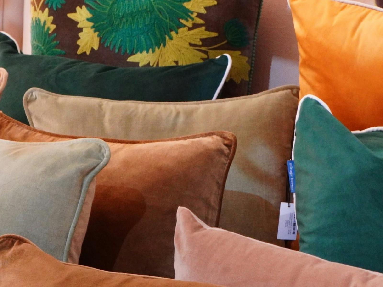 Bowerbird On Argyle 2