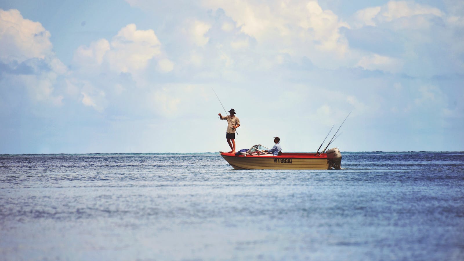 How to Holiday on The Hibiscus Coast with your Family