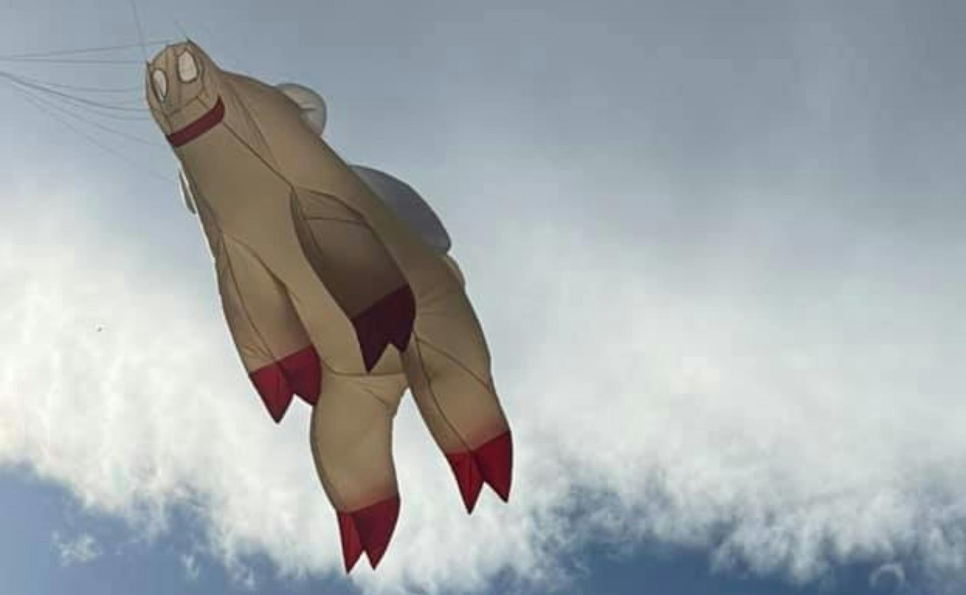 A kite flying