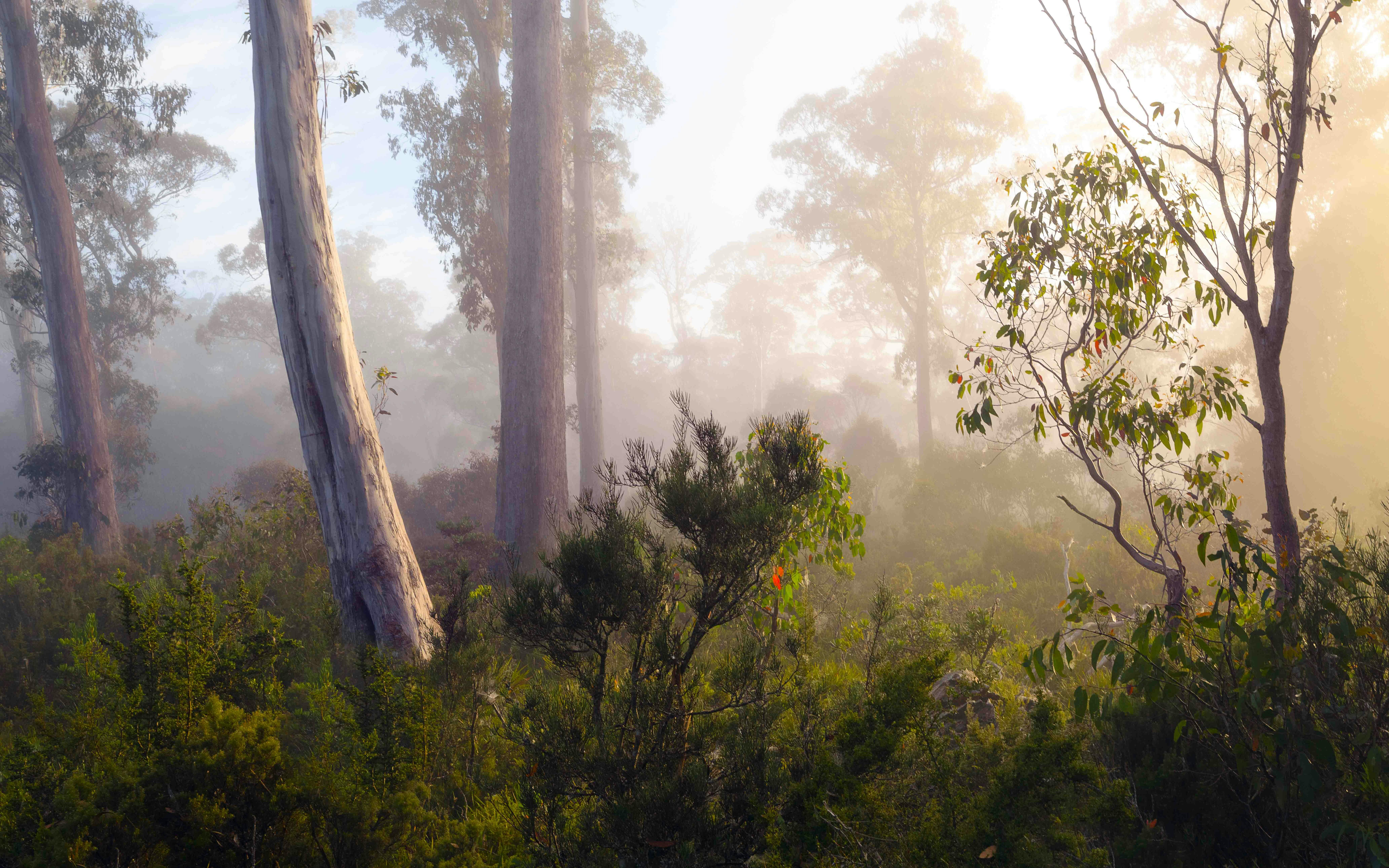 Tasmanian Photography Tours