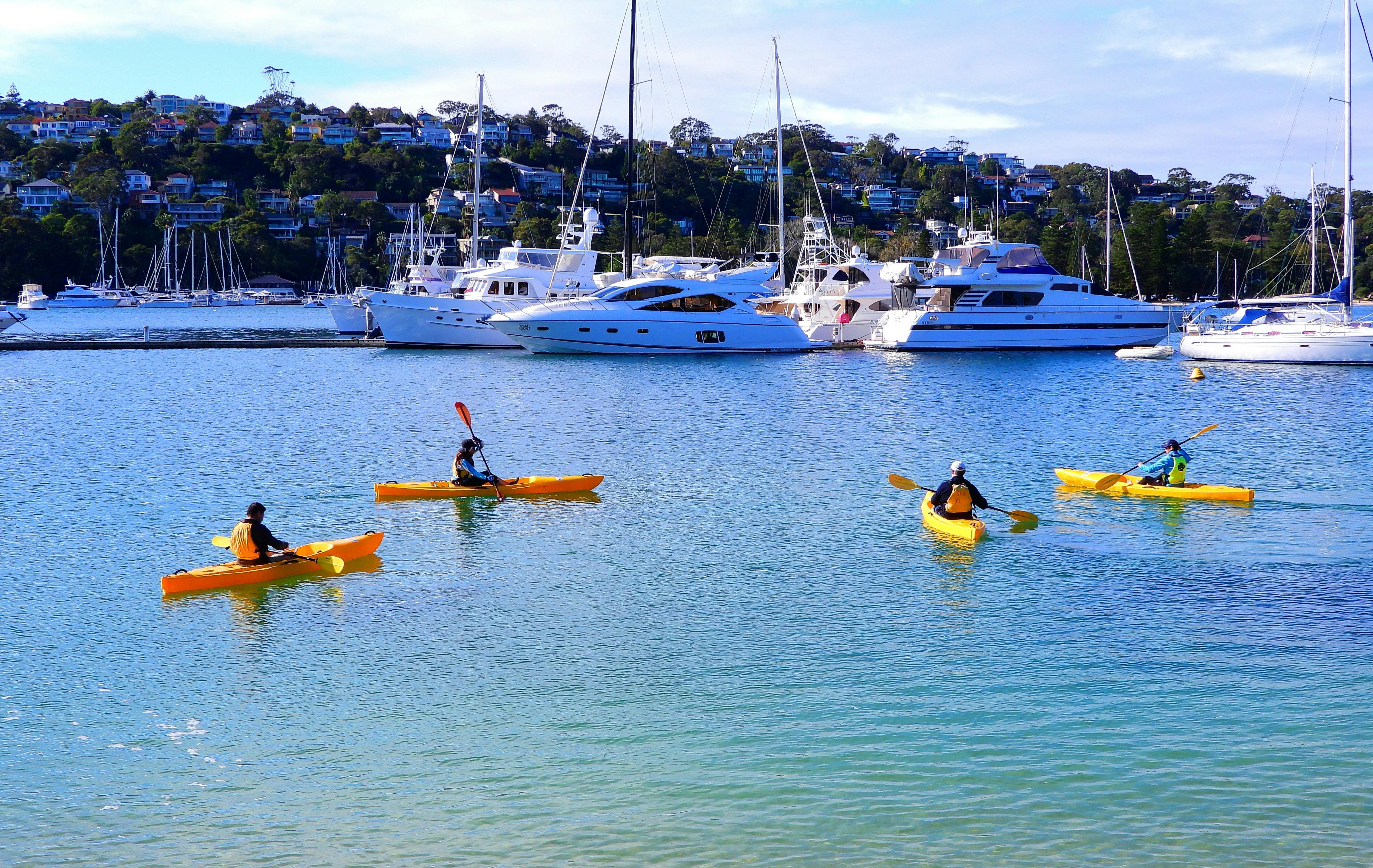 Free Learn to Kayak Lesson Sydney, Australia Official Travel