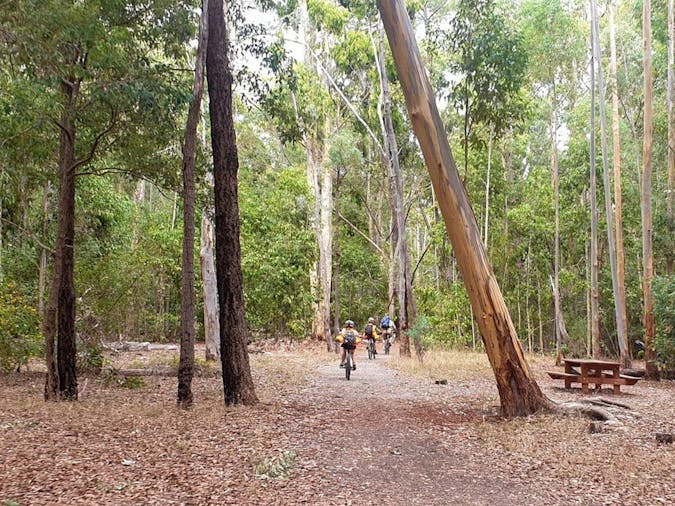 MTB Navigation Easter Hunt