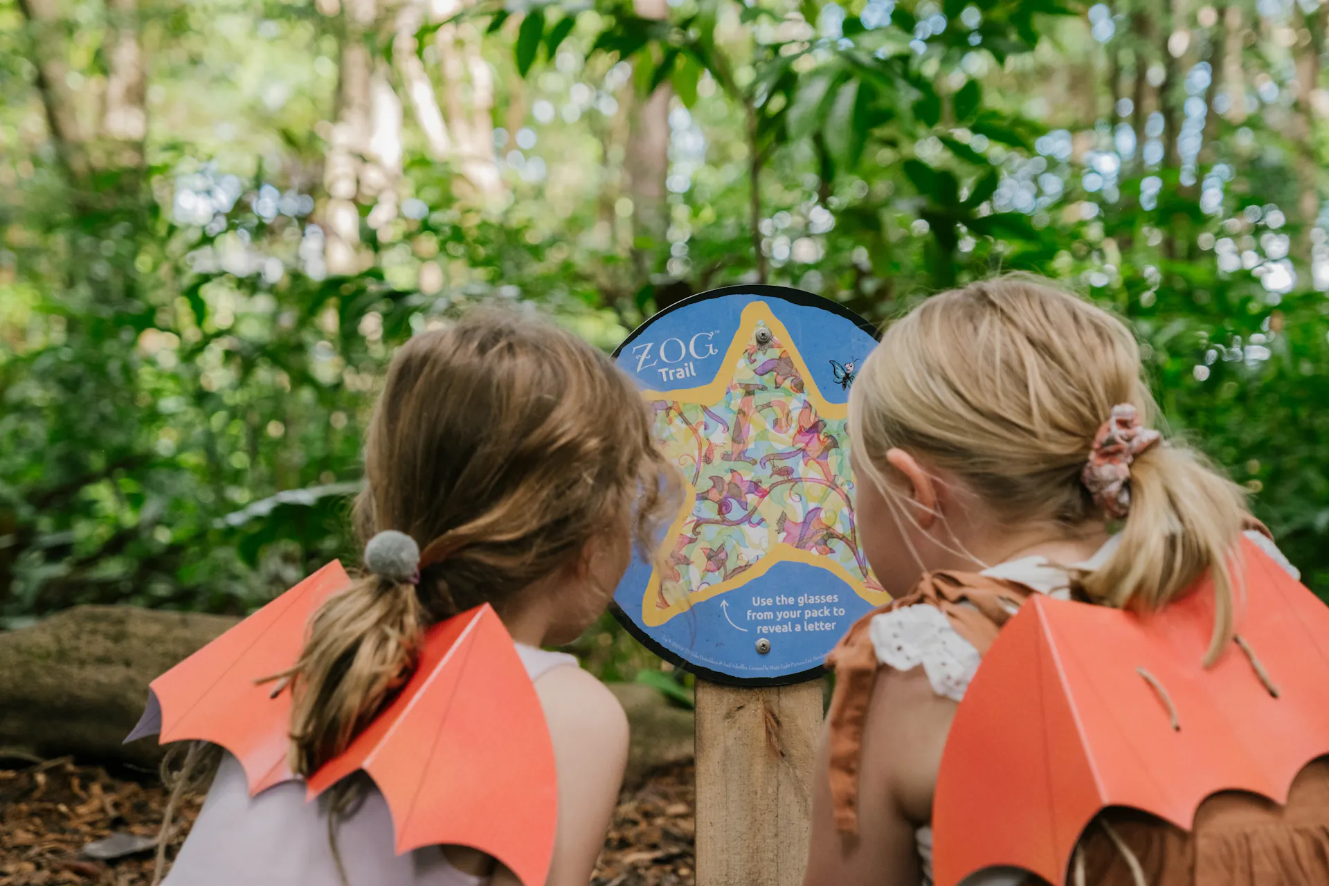 Looking at the trail markers on the Zog: A Forest Adventure Trail