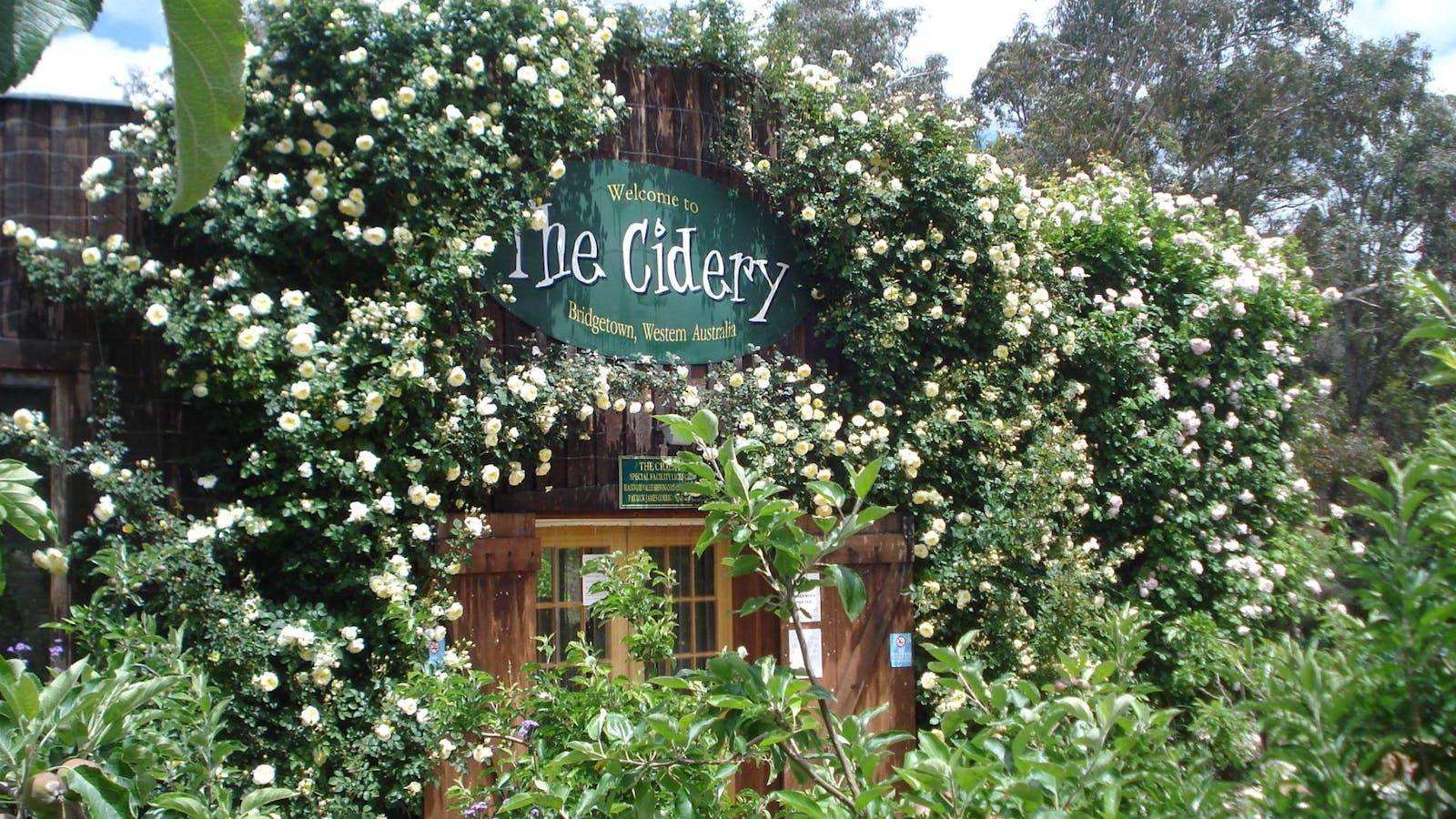 The Cidery