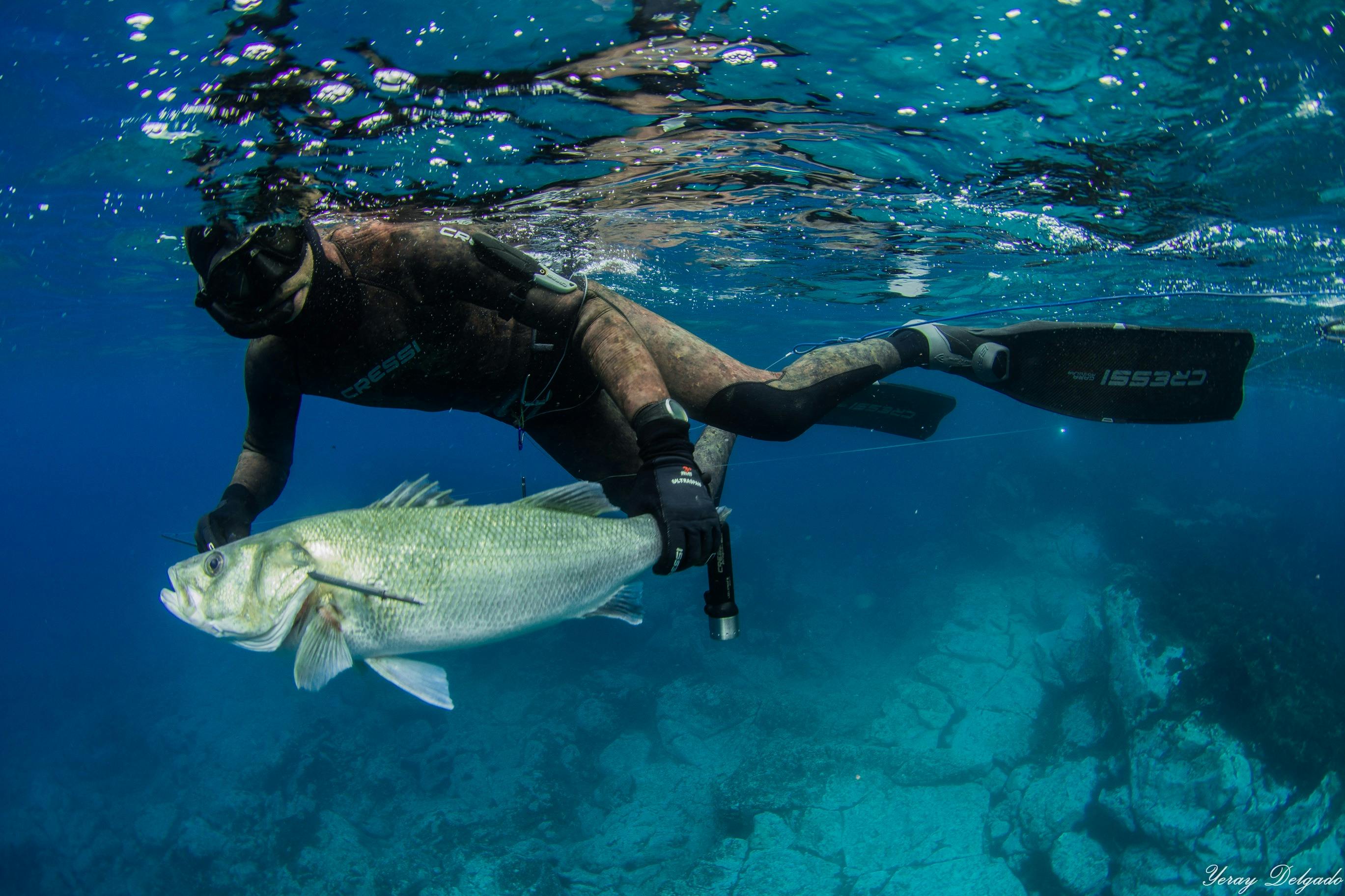 spearfishing