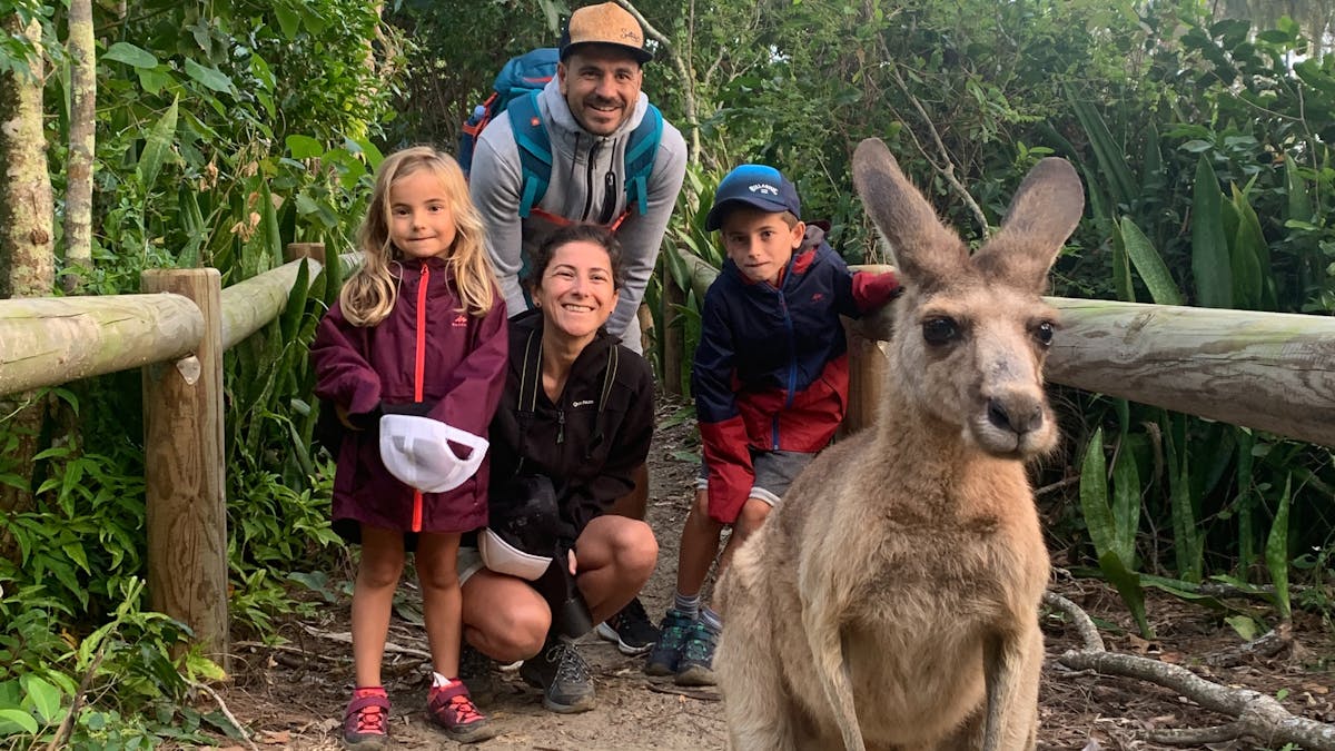 Family fun, kangaroo, beach, Cape Hillsborough