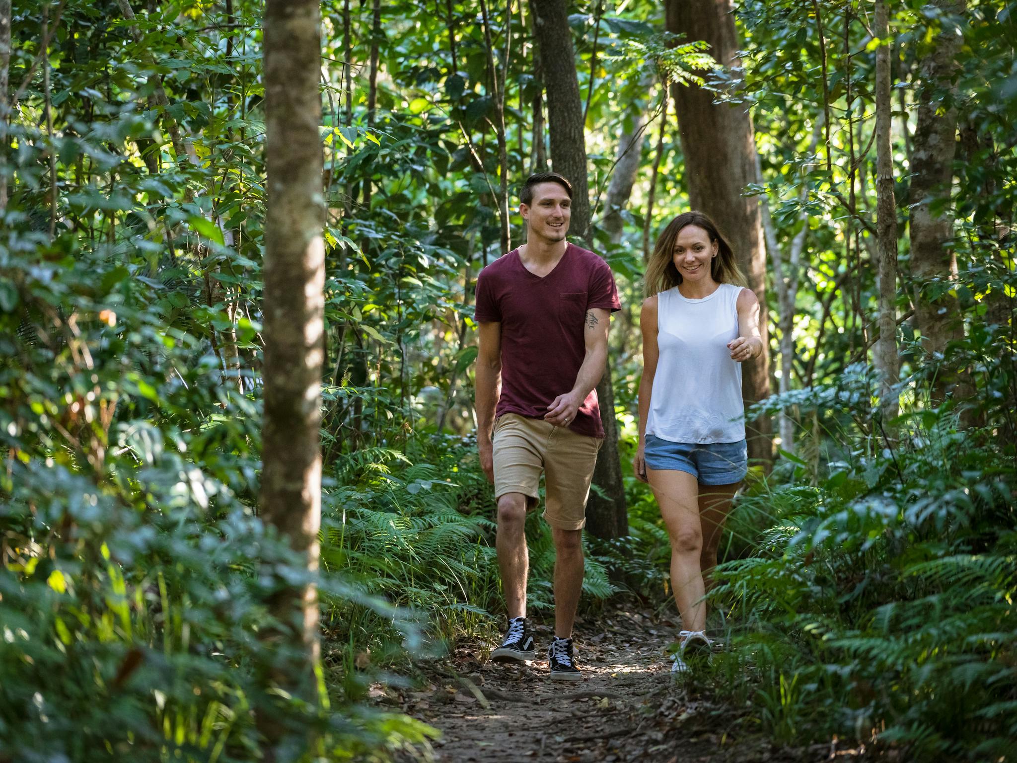 Byfield Rainforest Capricorn Coast Byfield Rainforest Capricorn Coast