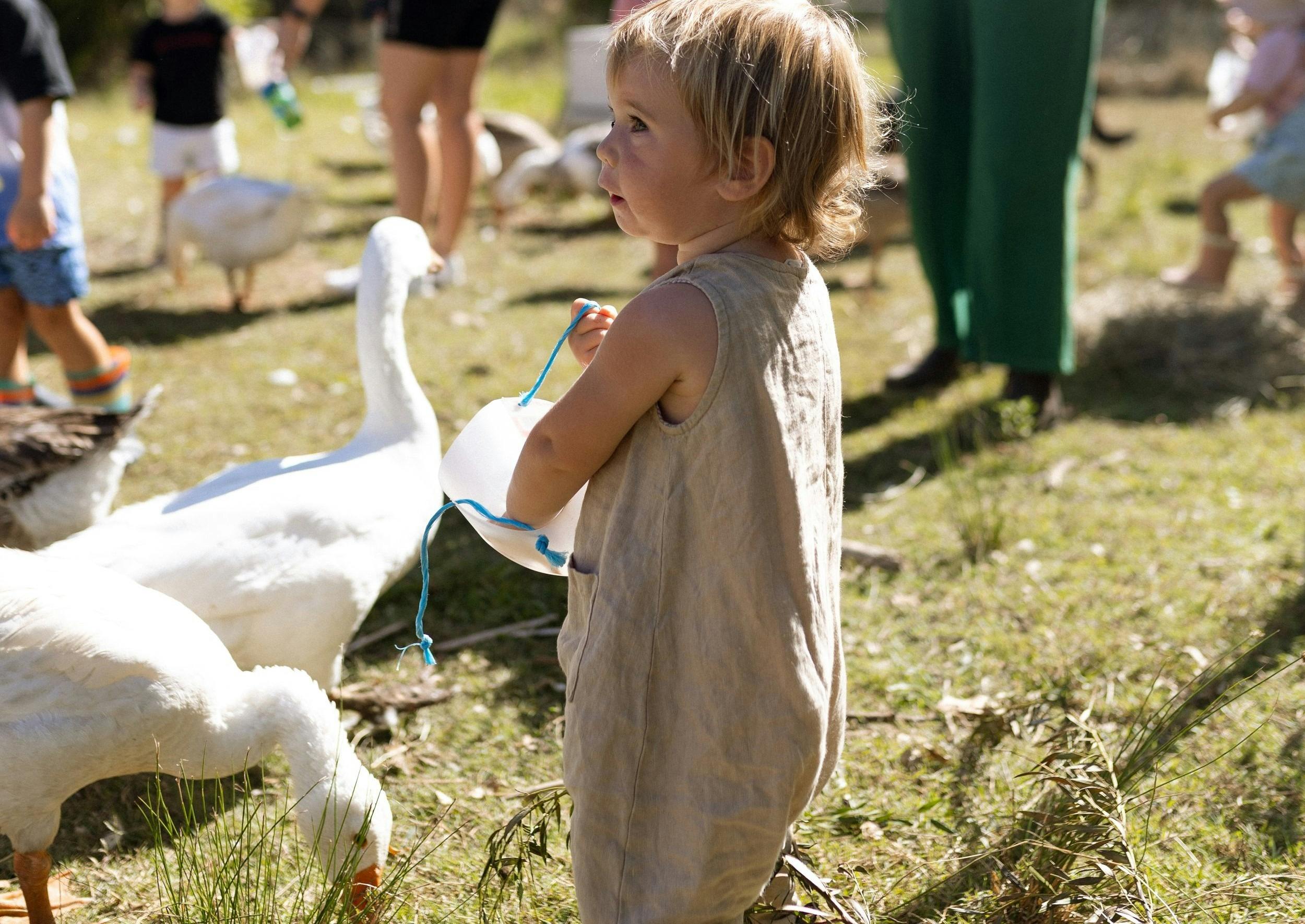 Holistic Nature Play and Farm Immersions Purple Pear Farm