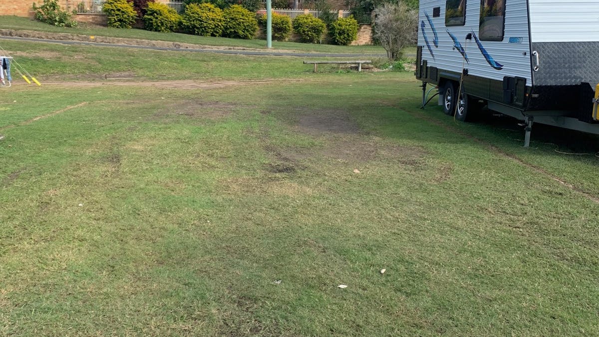 Grass sites