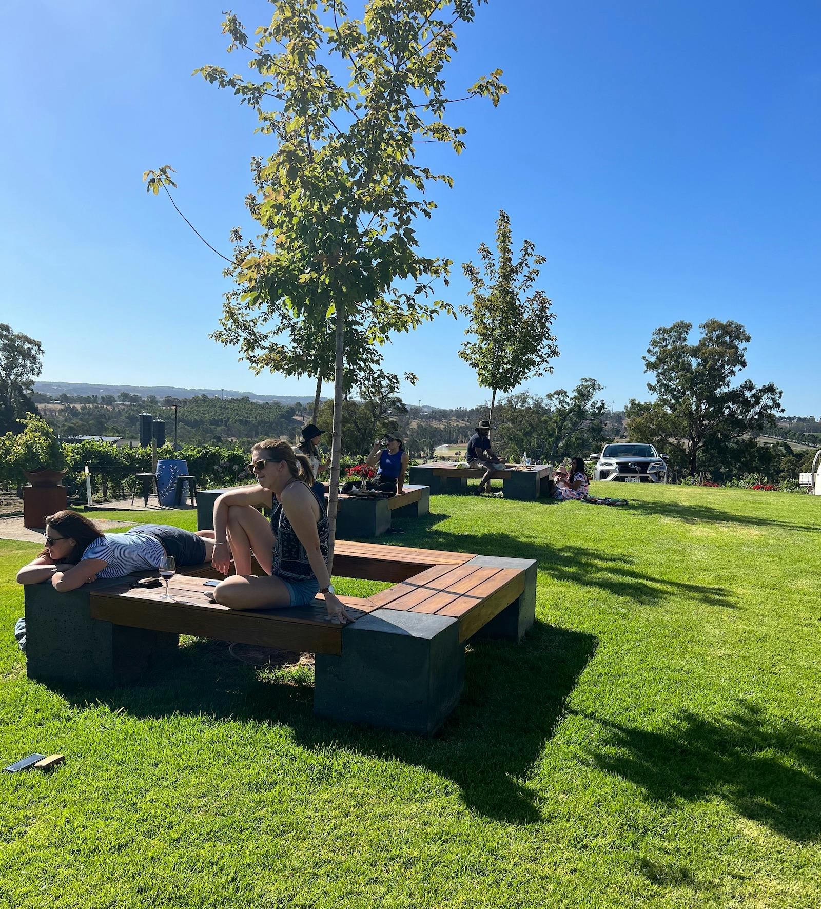 Lawns and outdoor benches