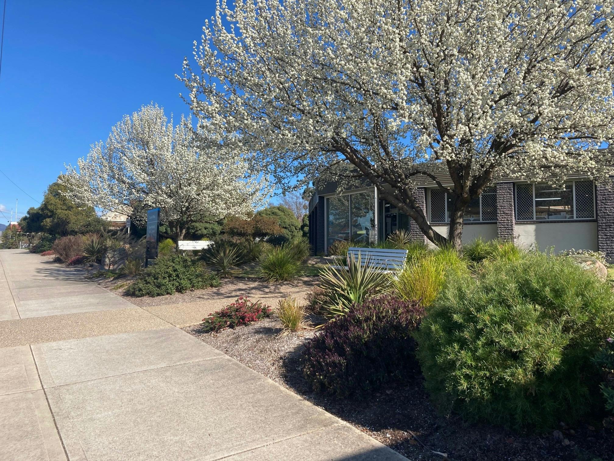 Entrance to the Corryong Elyne Mitchell Library and Towong Shire Council Offices