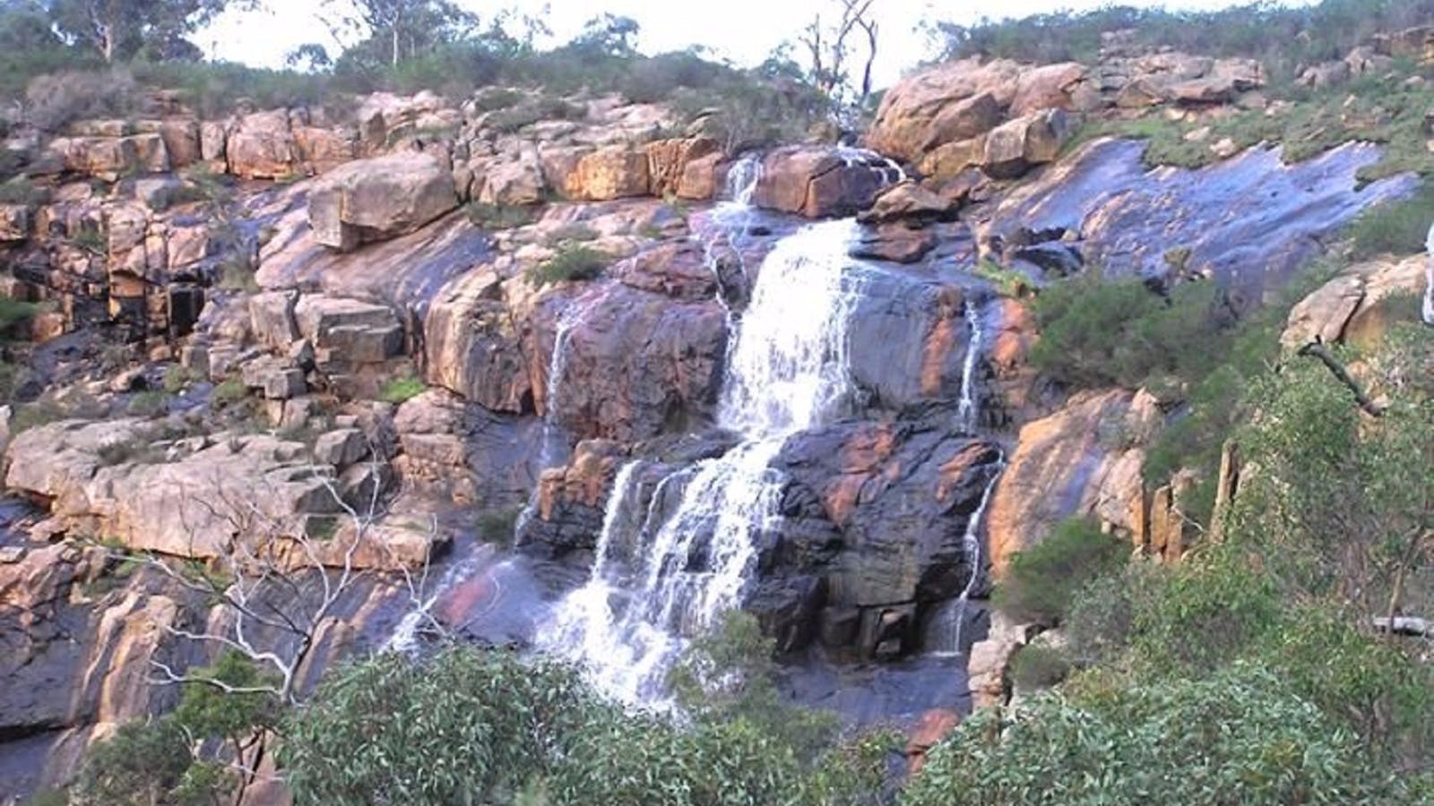 Ellis Brook Valley Reserve