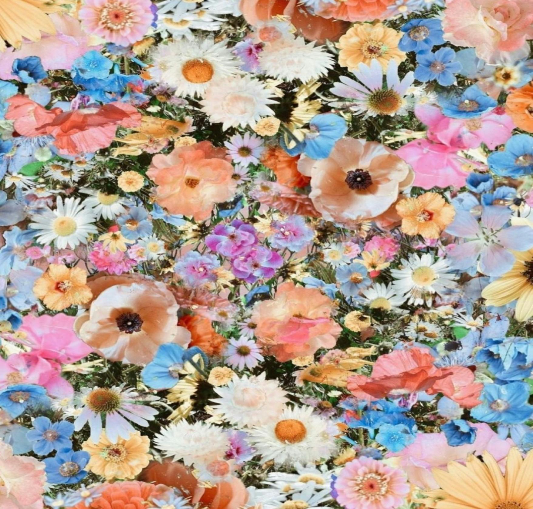 Baby Blossoms at The Farm