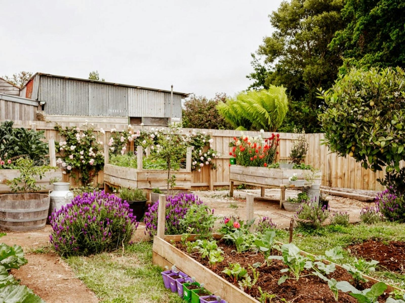 Enclave Kitchen Garden